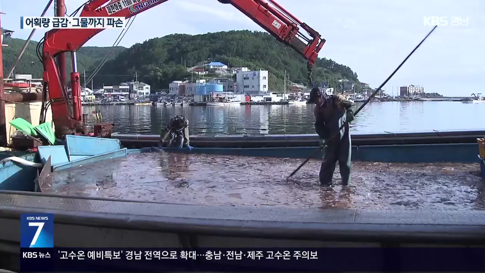 “그물 90% 이상이 해파리”…어민들 한숨 ‘푹푹’