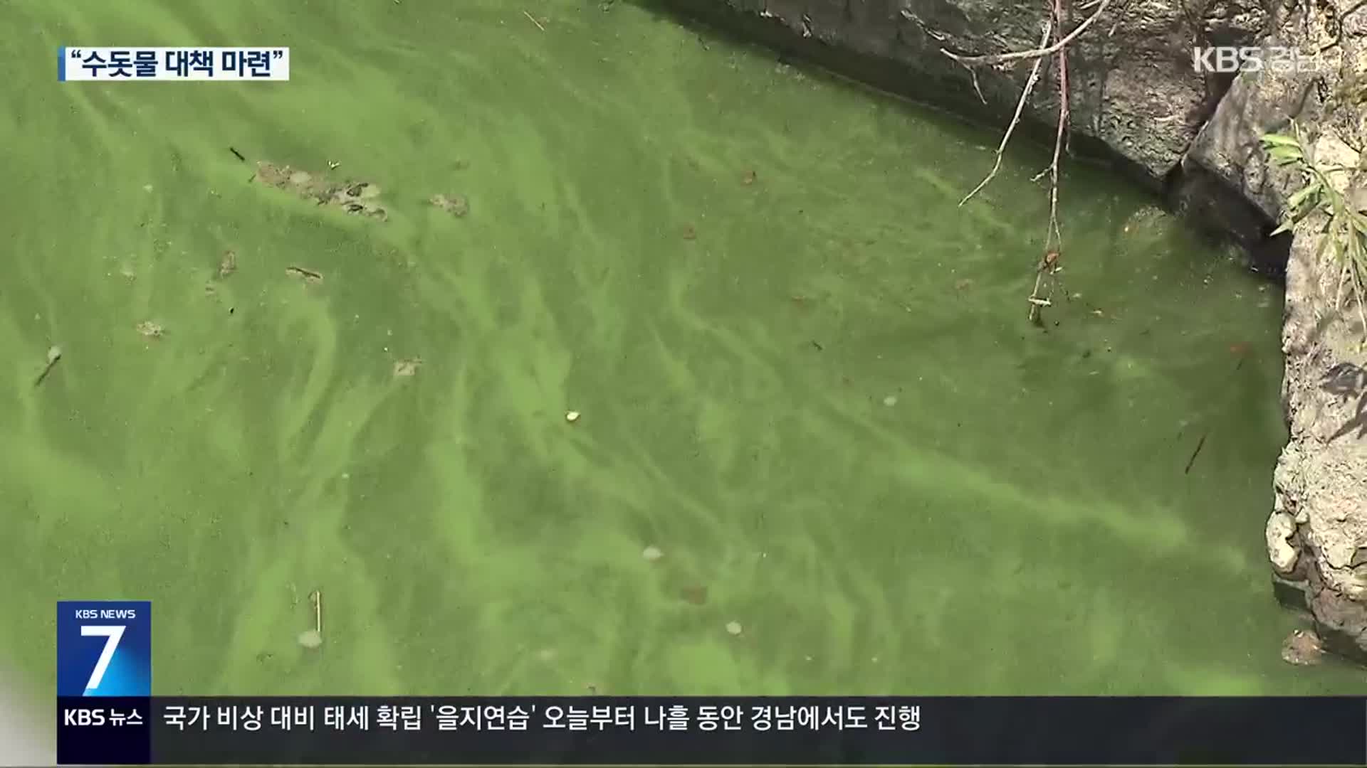 폭염에 낙동강 녹조 ‘비상’…대구시 “정수처리 강화”