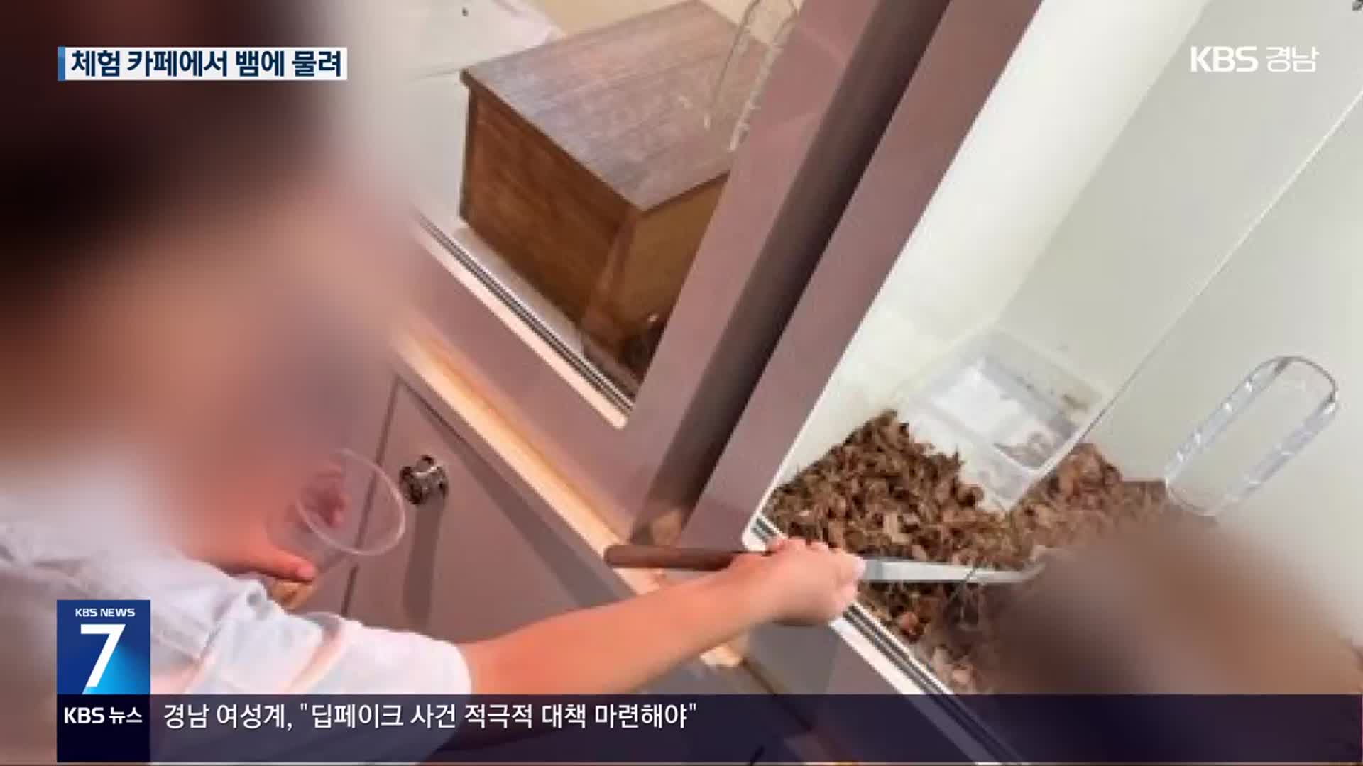 동물체험카페서 5살 아이 ‘뱀 물림’ 사고…‘안전 규정’은 없어