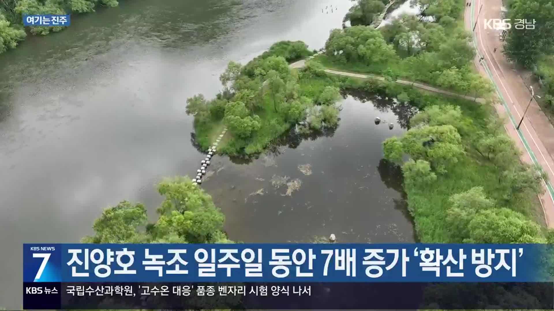 [여기는 진주] 진양호 녹조 일주일 동안 7배 증가 ‘확산 방지’ 외