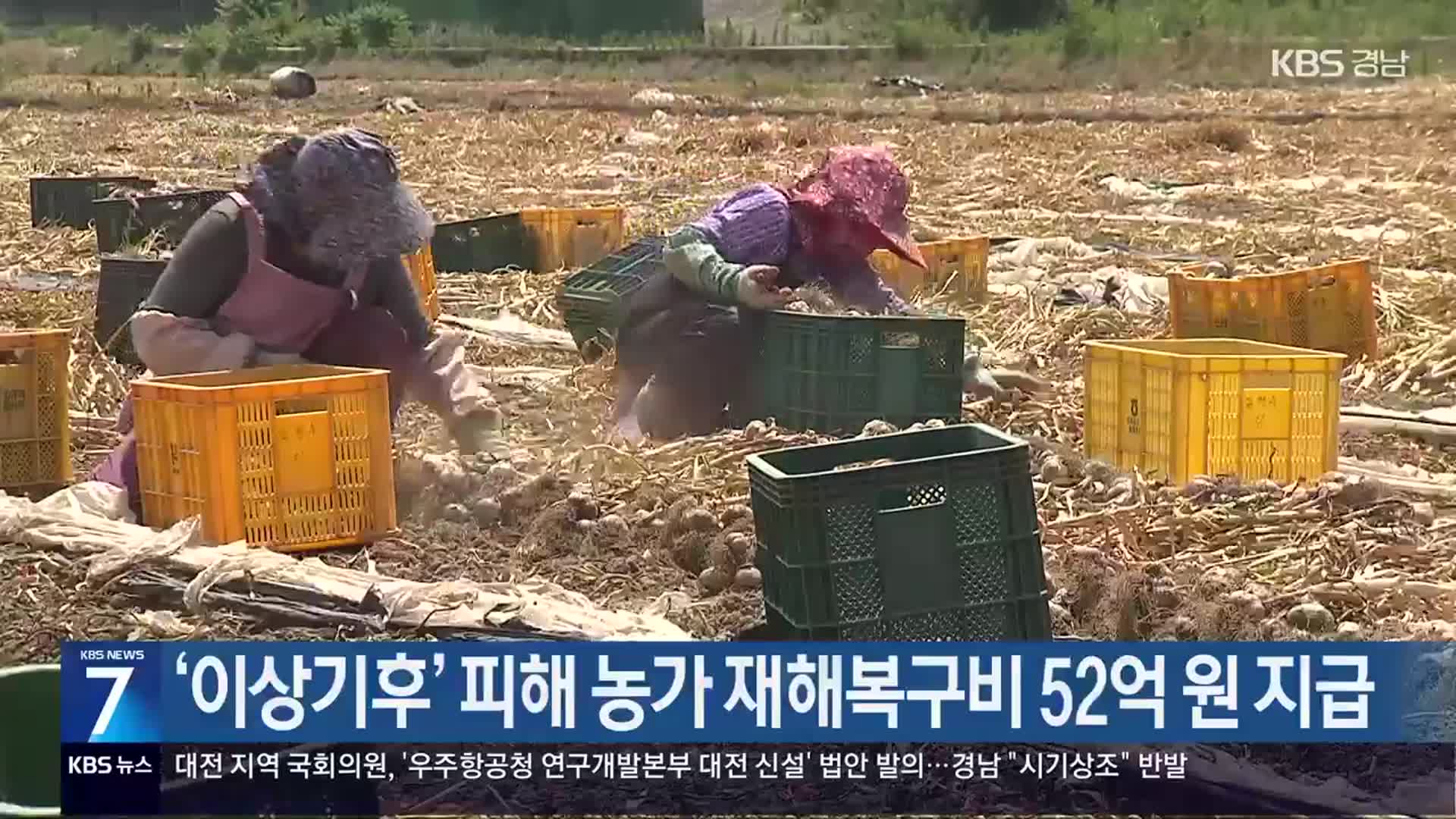 ‘이상기후’ 피해 농가 재해복구비 52억 원 지급