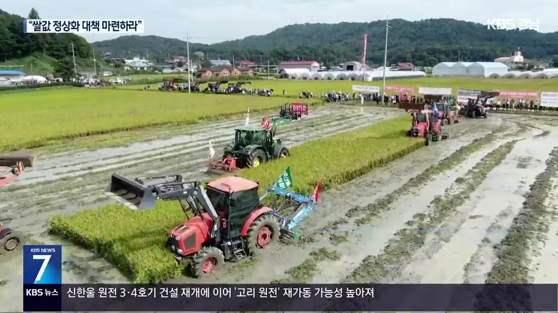 수확 열흘 앞두고 벼 갈아 엎어…쌀값 폭락 대책 촉구