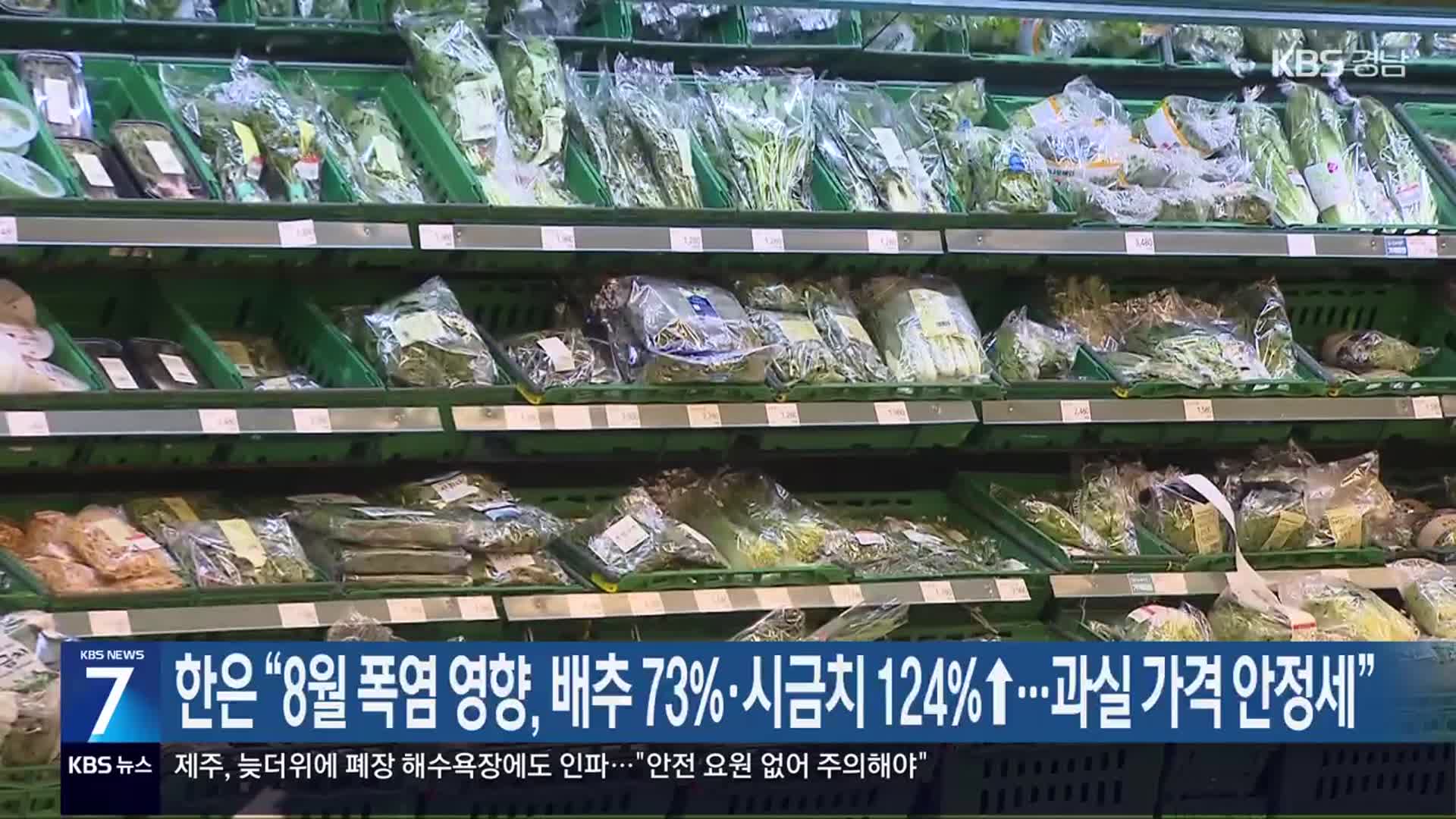 한은 “8월 폭염 영향, 배추 73%·시금치 124%↑…과실 가격 안정세”