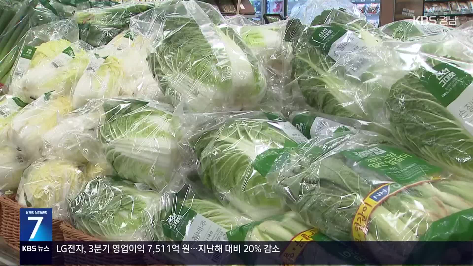 “‘금배추’ 이달 중순부터 점차 안정화”