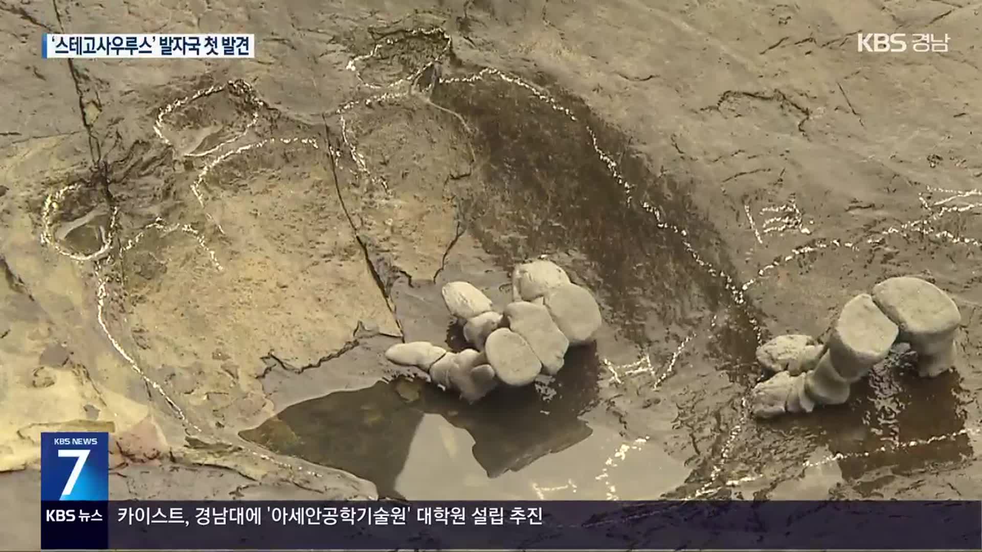 국내 첫 거대 초식공룡 스테고사우루스 발자국 공개