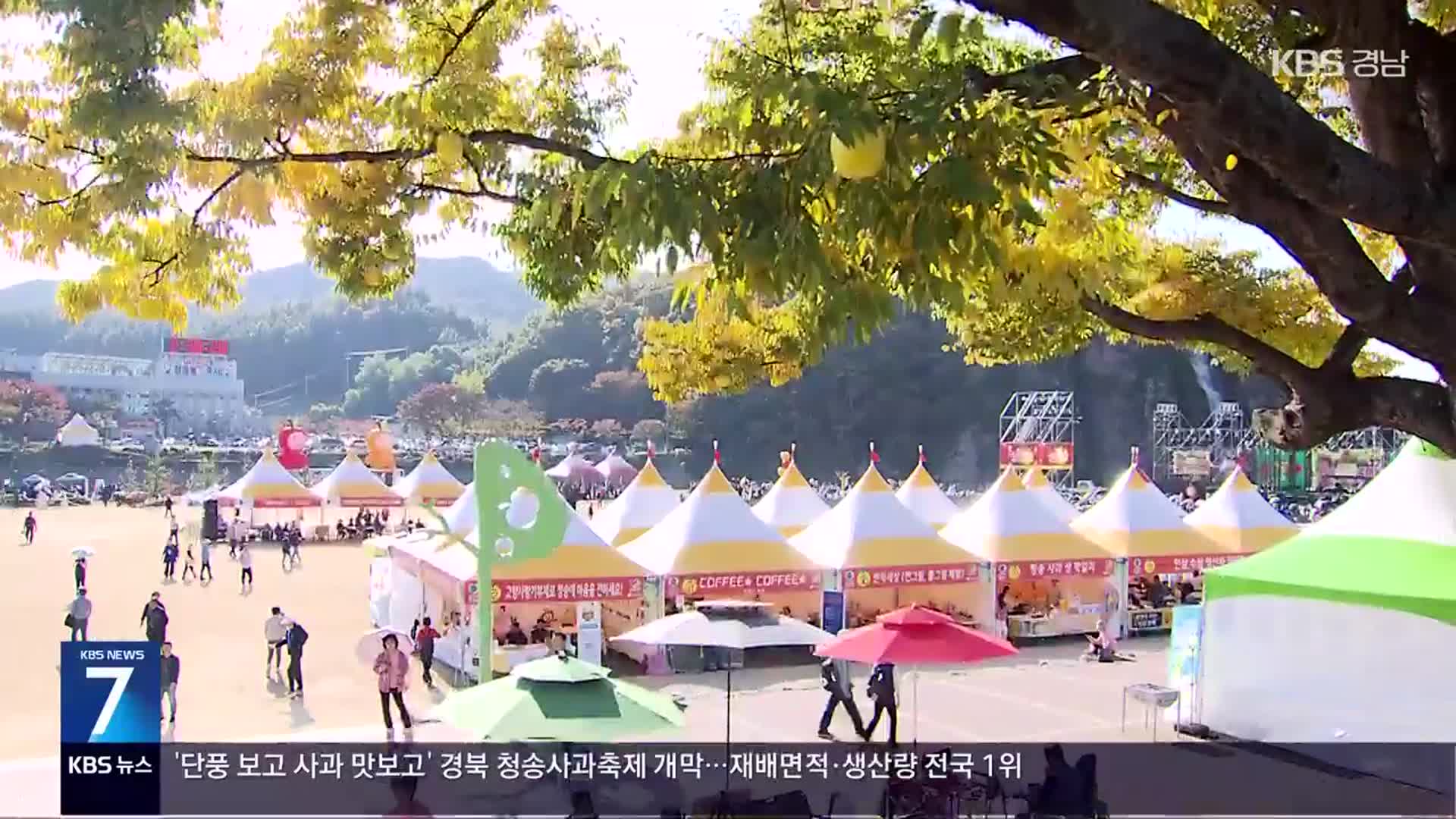 ‘단풍 구경하고 사과도 맛보고’…청송사과축제 개막