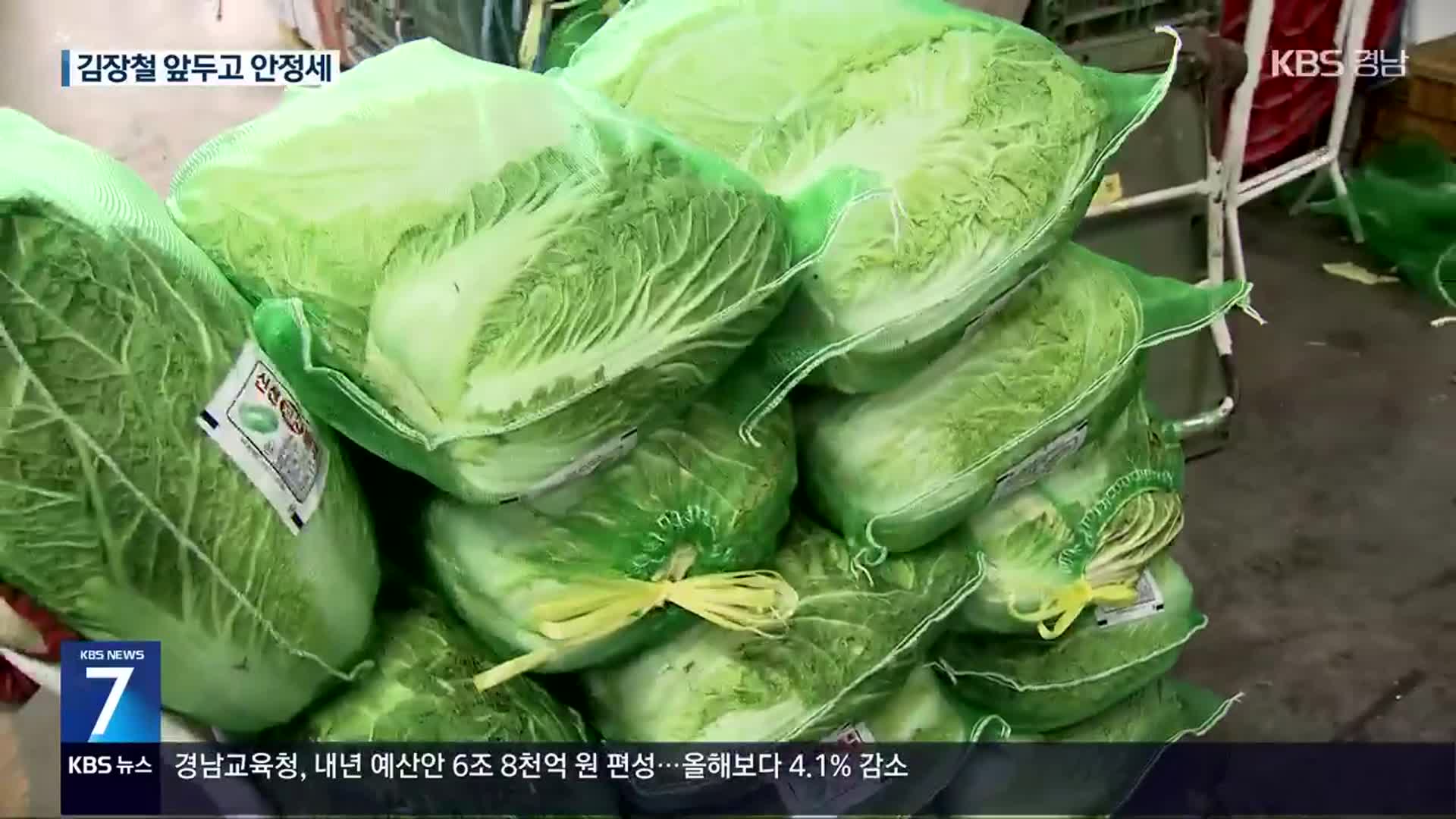 가을배추 출하에 김장 앞두고 가격 안정세