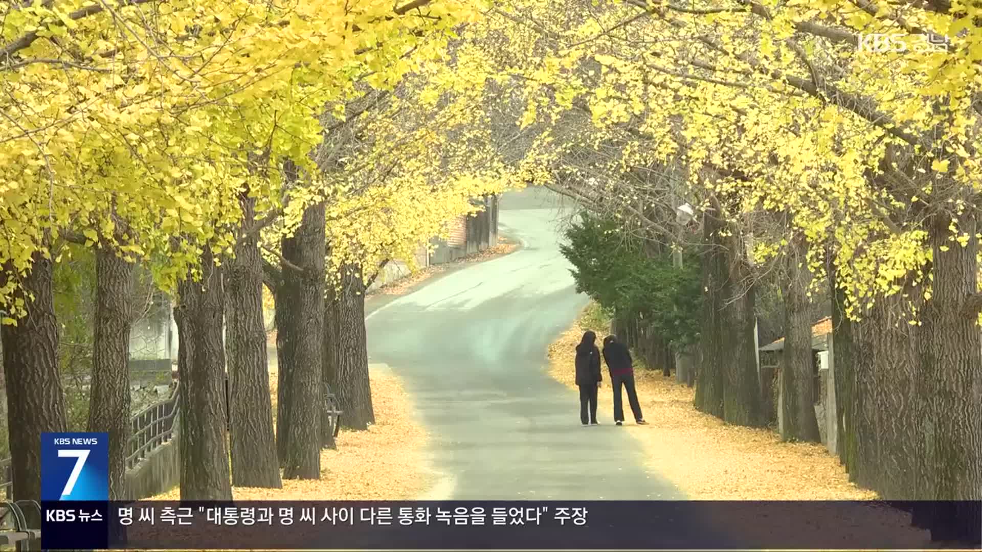 [현장속으로] 만추가 전하는 마지막 선물 ‘낙엽’