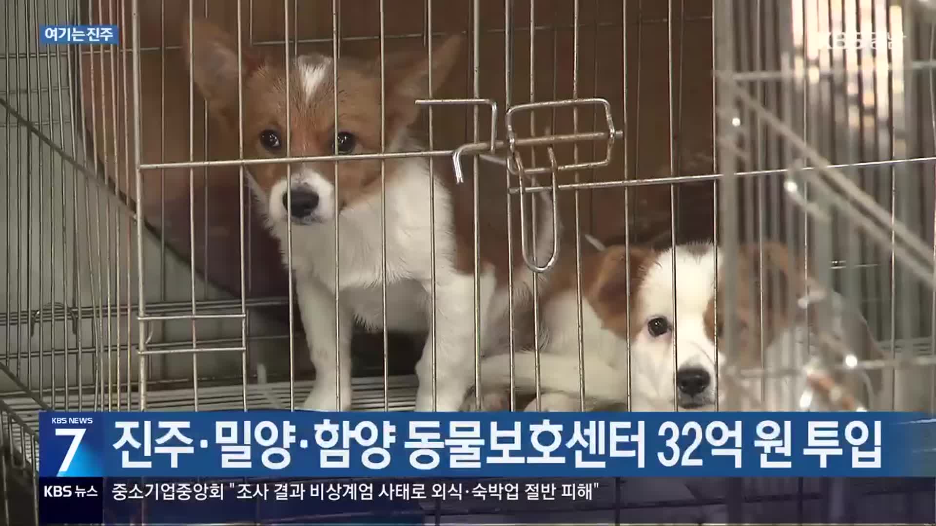 [여기는 진주] 진주·밀양·함양 동물보호센터 32억 원 투입 외