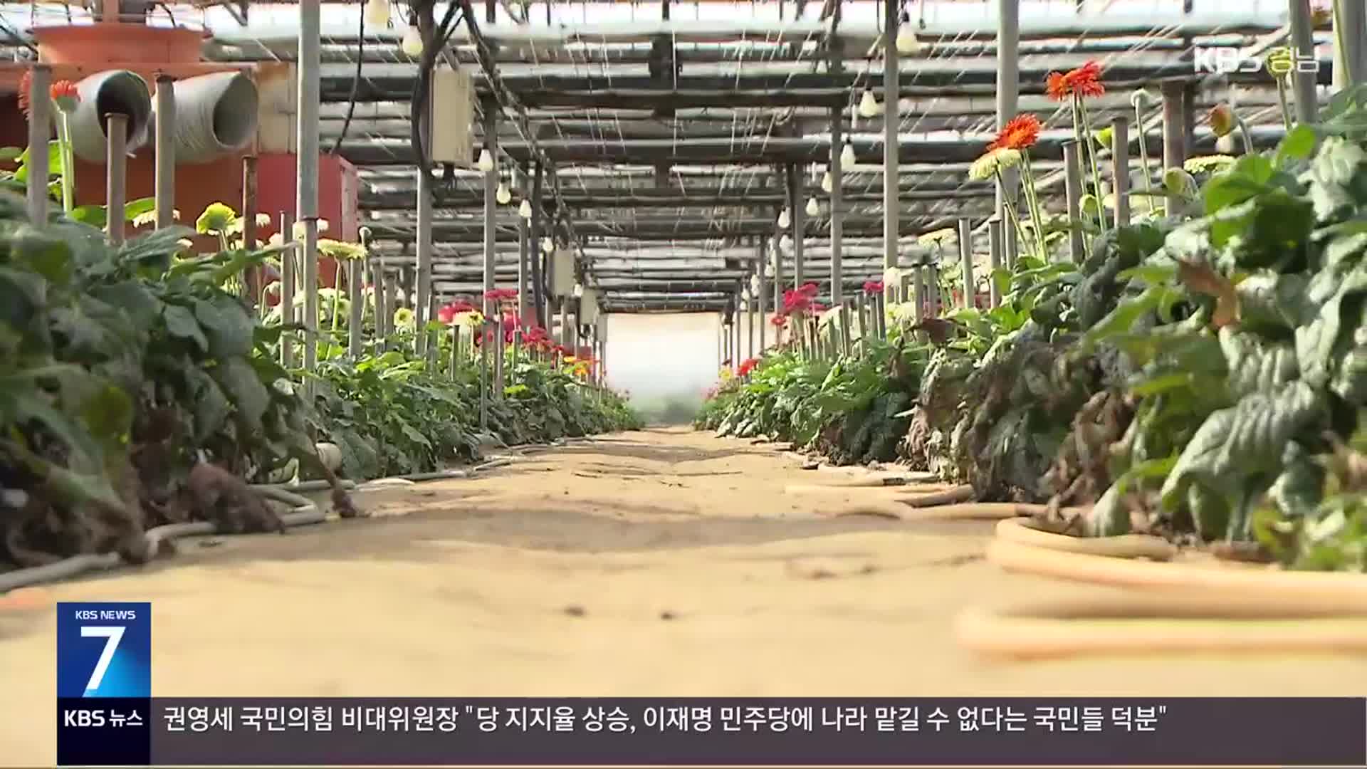 ‘입춘 한파’…양식장·화훼농가 비상