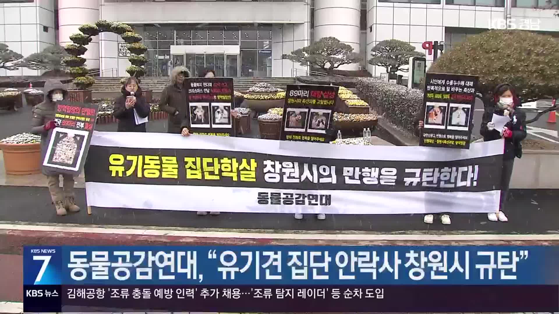 동물공감연대 “유기견 집단 안락사 창원시 규탄”