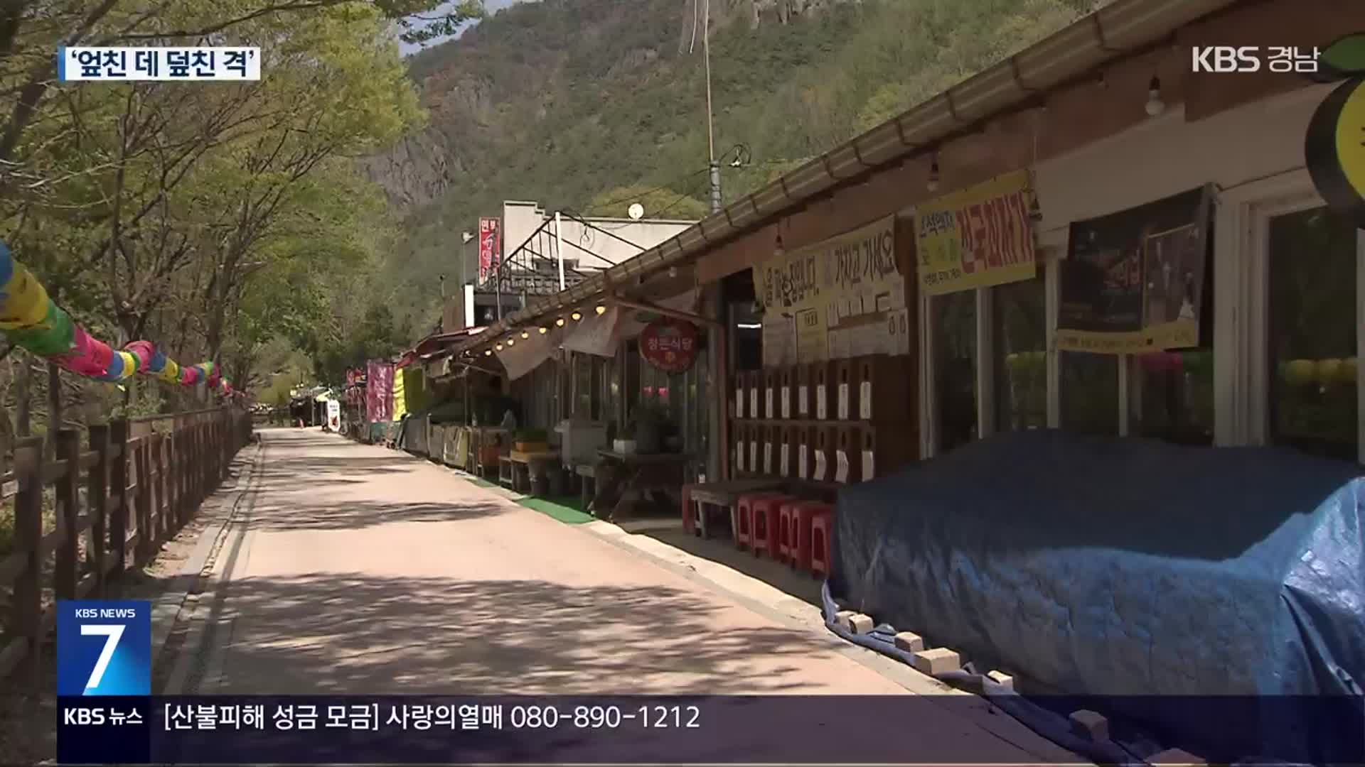 산불 난 주왕산, 봄철 관광 특수 실종