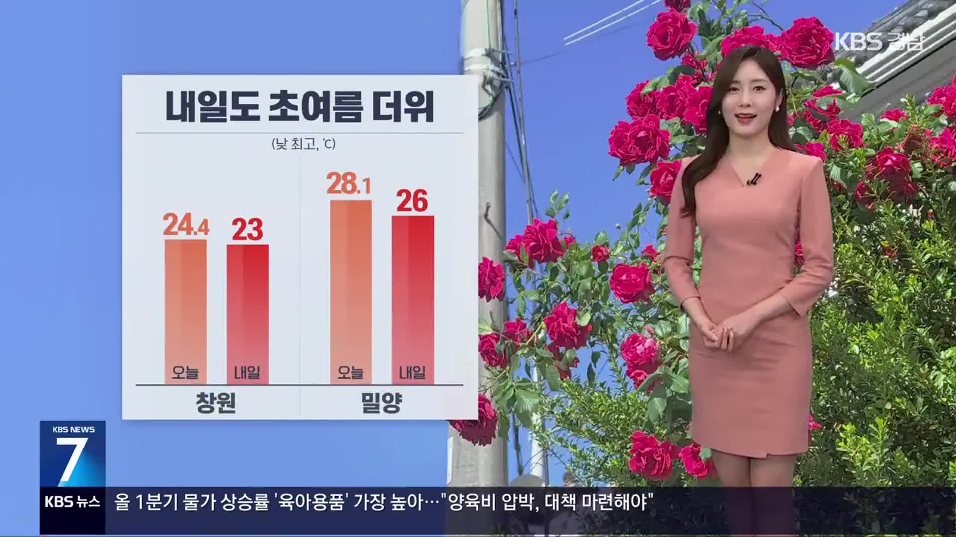 [날씨] 경남 밤사이 짙은 안개…내일도 초여름 더위