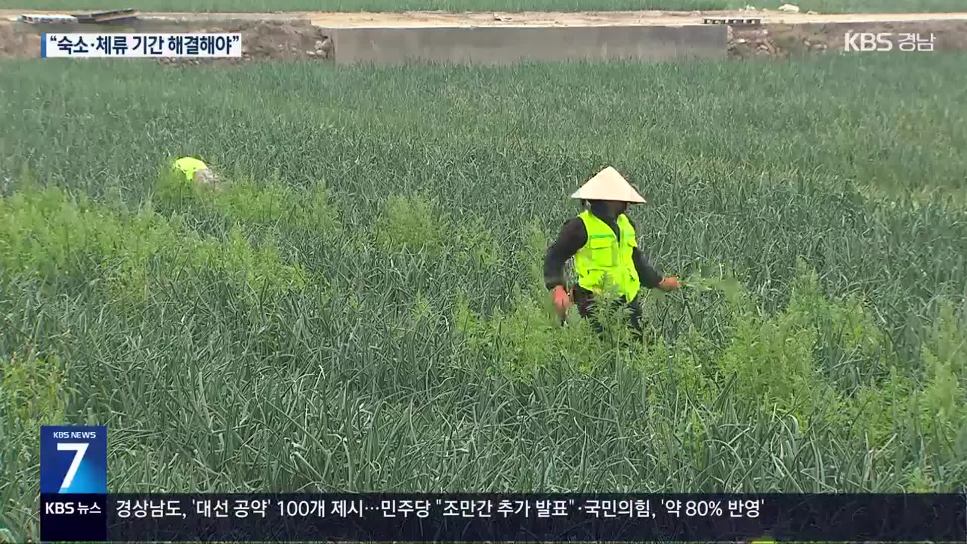 ‘농촌 일손 해소 외국인’…숙소·운영 해법 시급