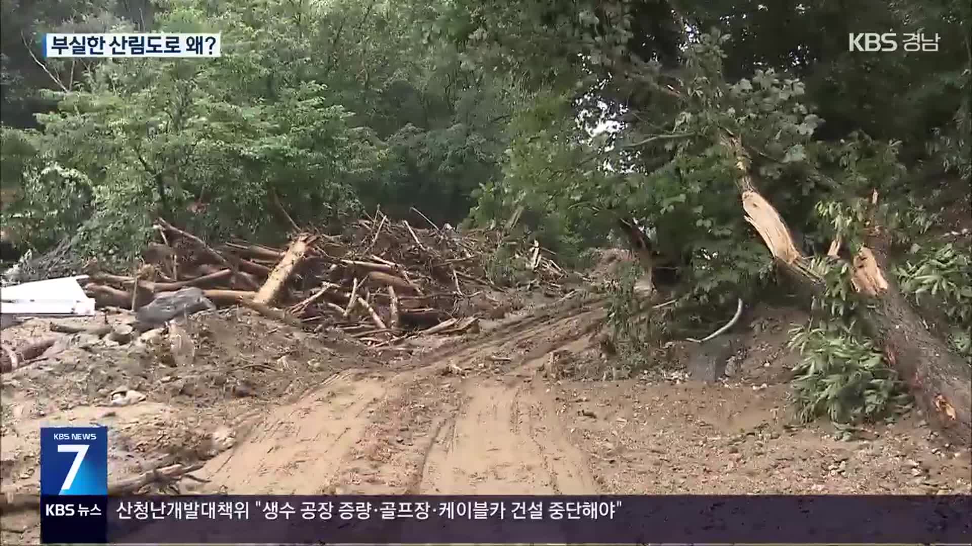 부실한 임도…수의계약에 ‘셀프조사’까지