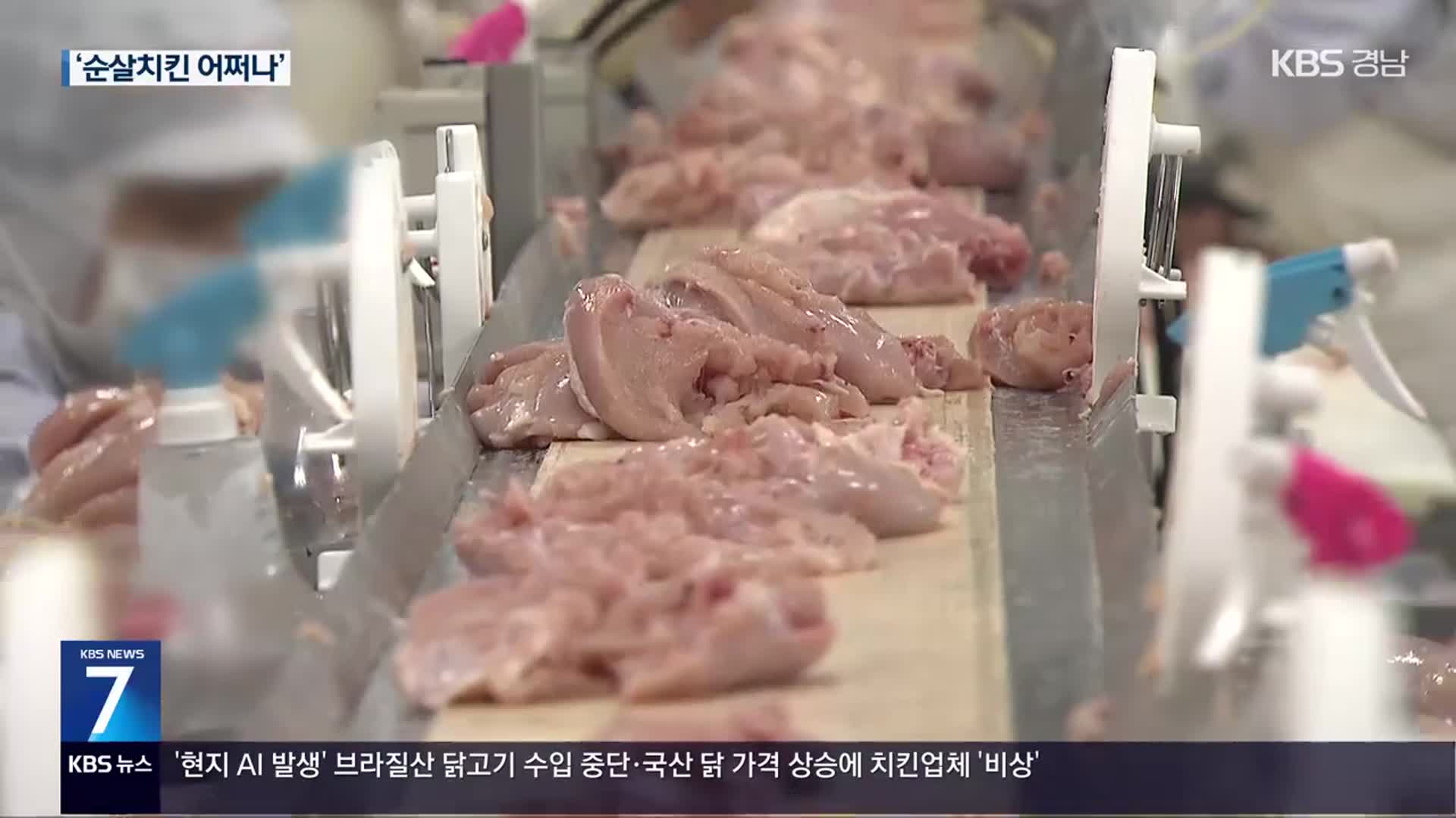 순살치킨 어쩌나…닭고기 품귀에 치킨집 비상