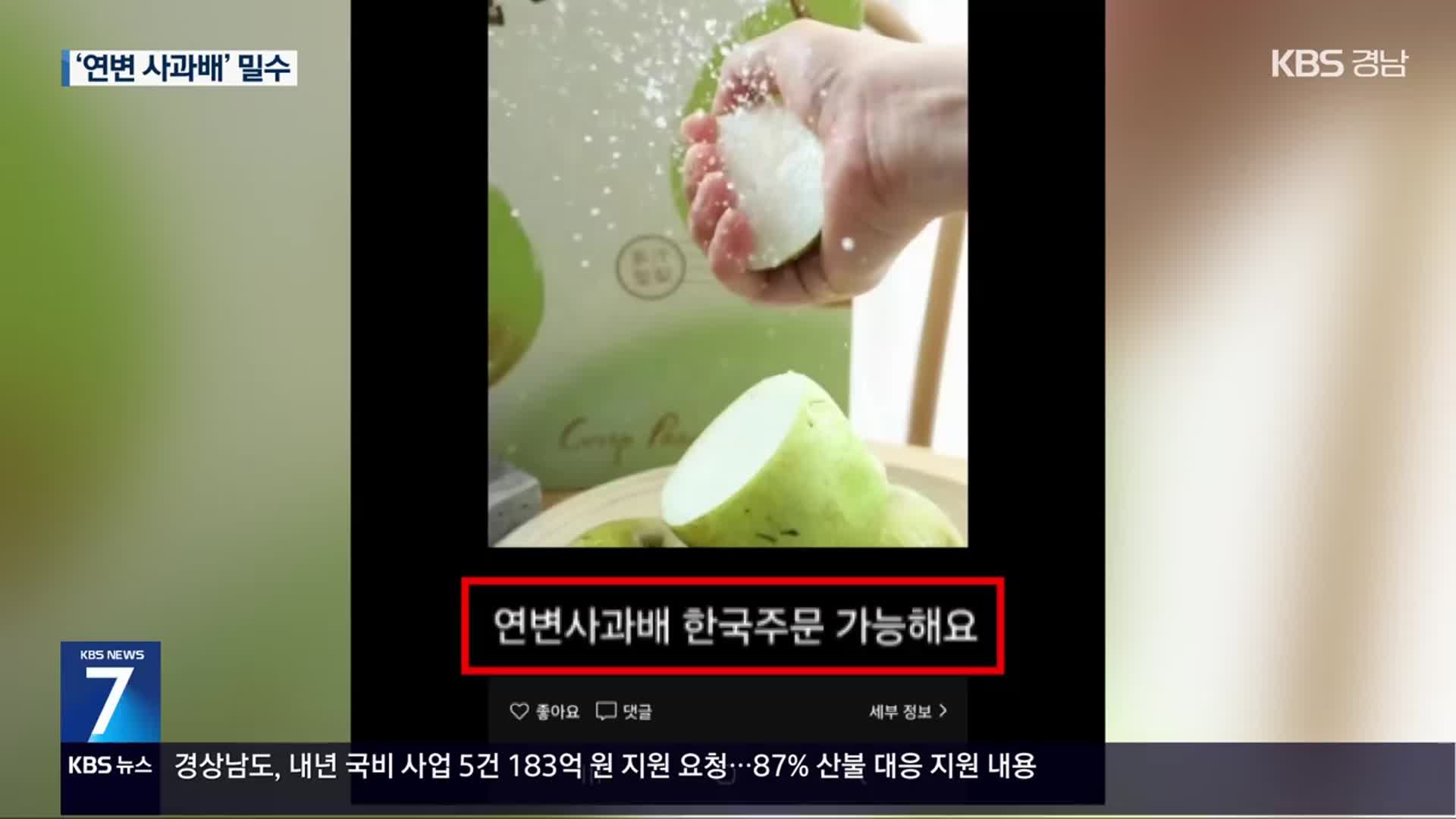 ‘과일값 치솟자’…중국산 밀수입 활개