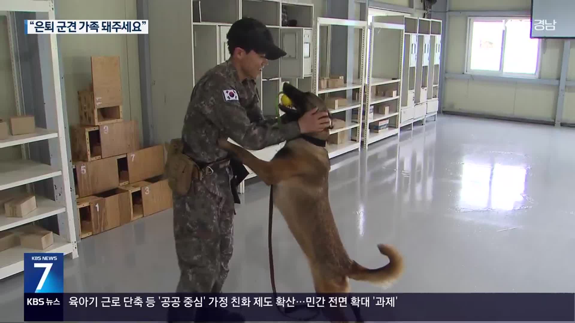은퇴 군견 분양 ‘뚝’…“새 가족 되어 주세요”