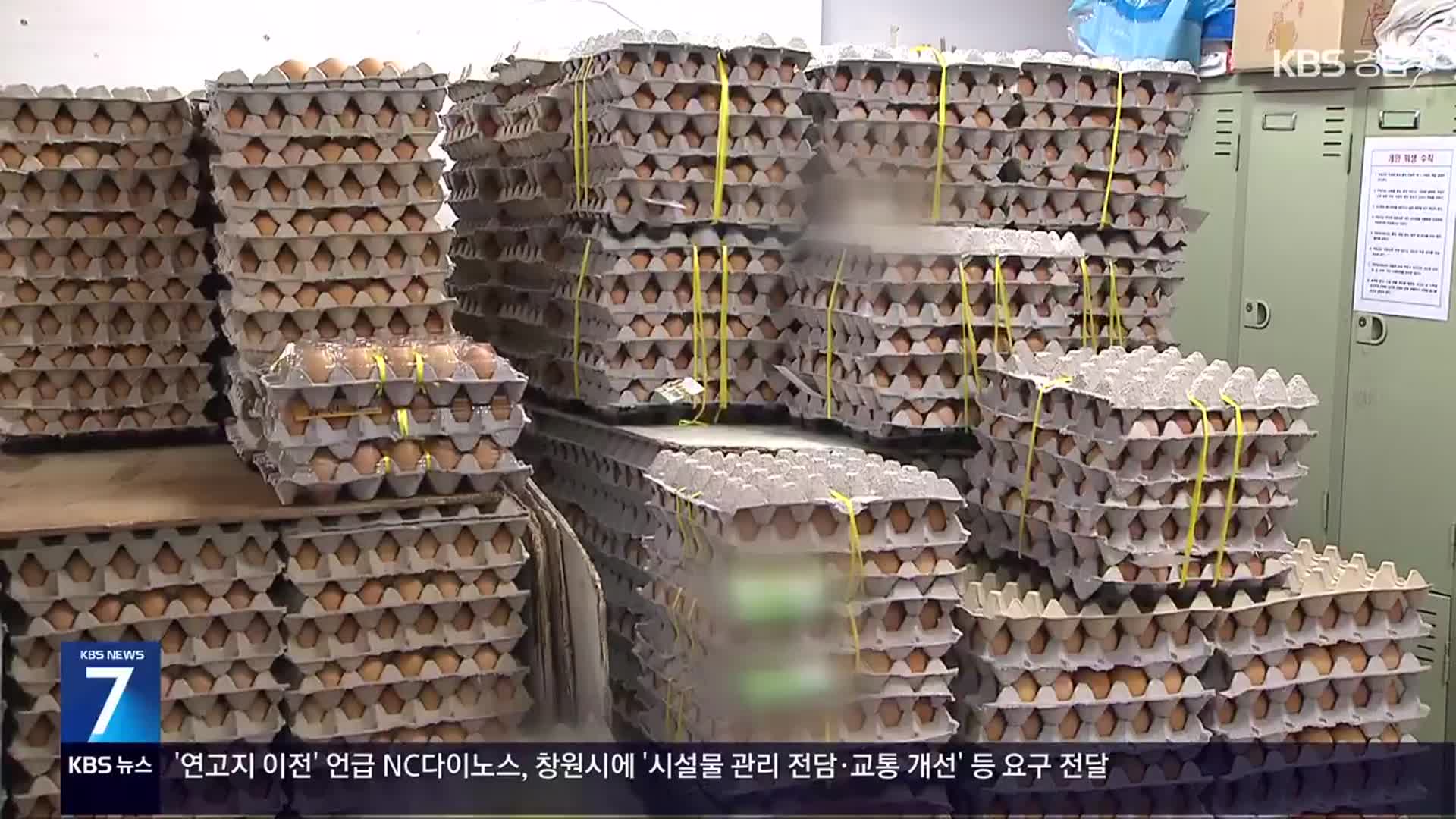 계란 없어 못 팔아…에그플레이션에 상인 시름
