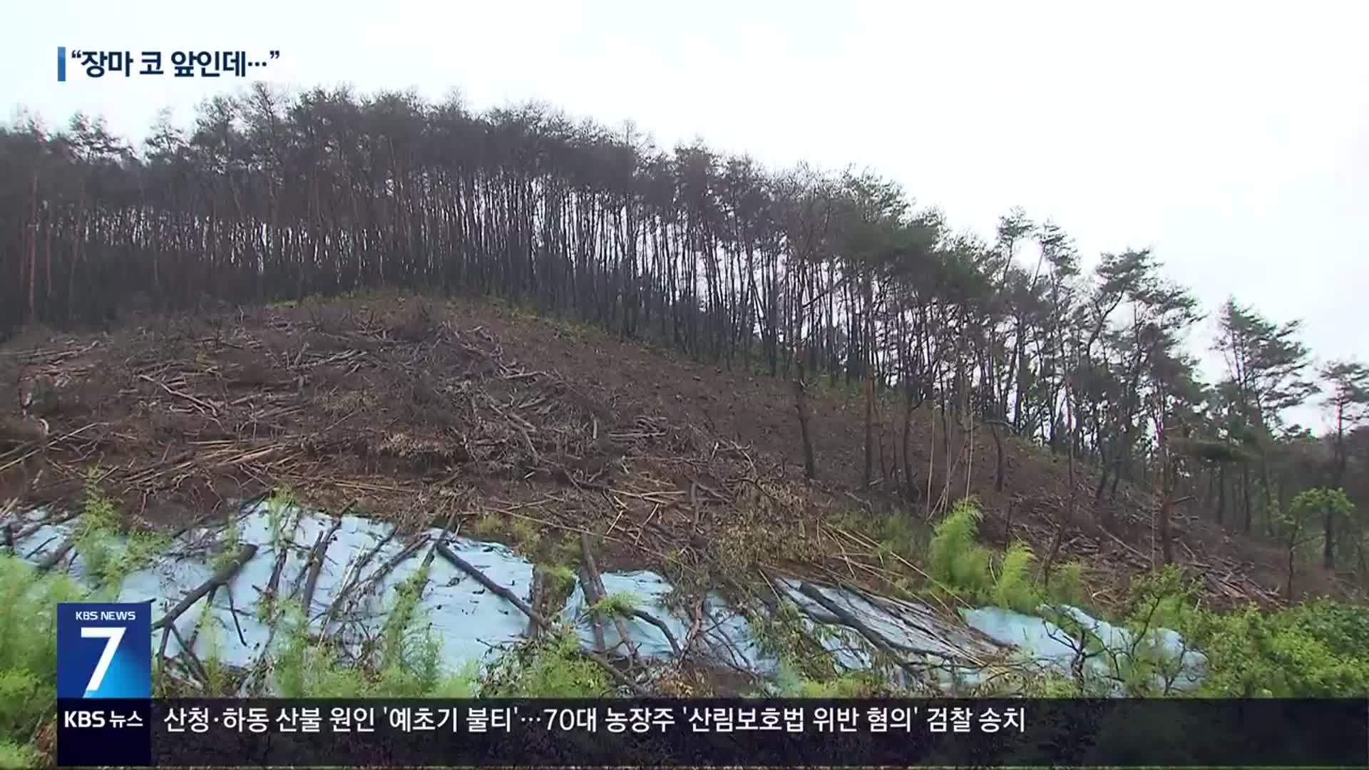 산불 피해지역 산사태 우려 ‘노심초사’