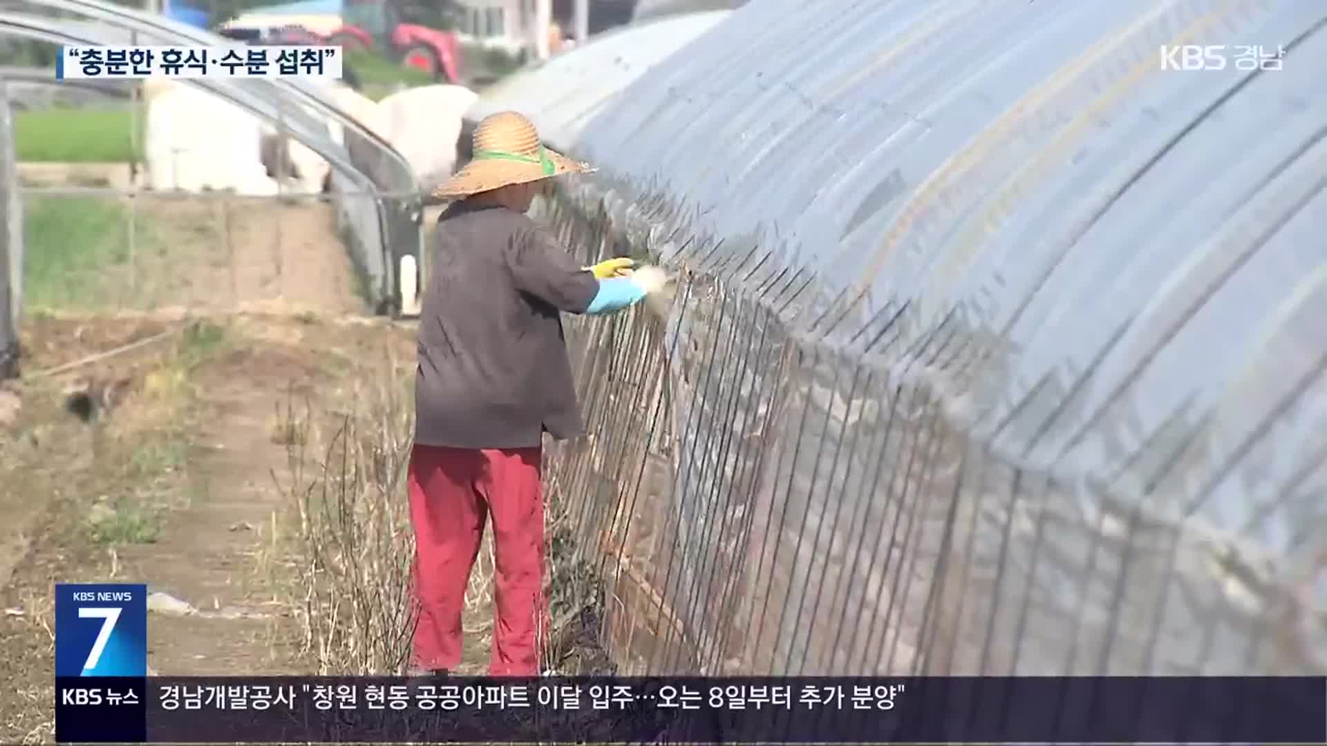 이른 폭염에 사망자까지…온열질환자 급증 우려