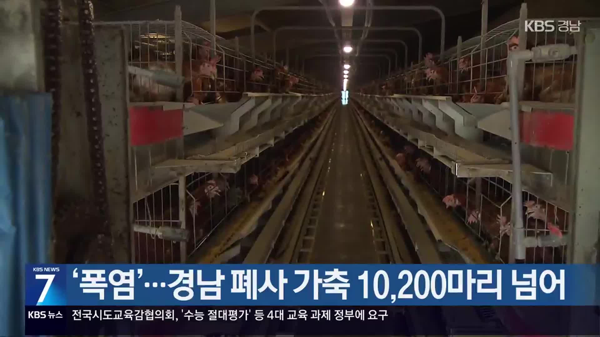 ‘폭염’…경남 폐사 가축 10,200마리 넘어
