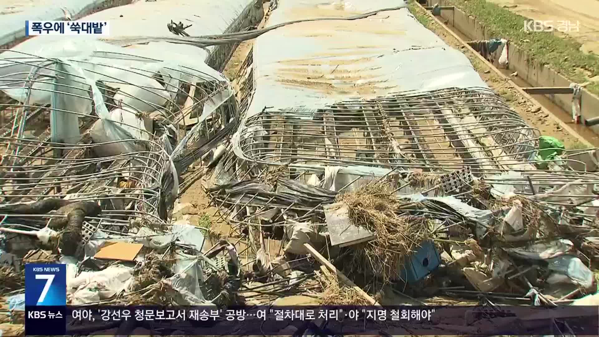 ‘쑥대밭’ 산청 농가…“올해 농사 끝”
