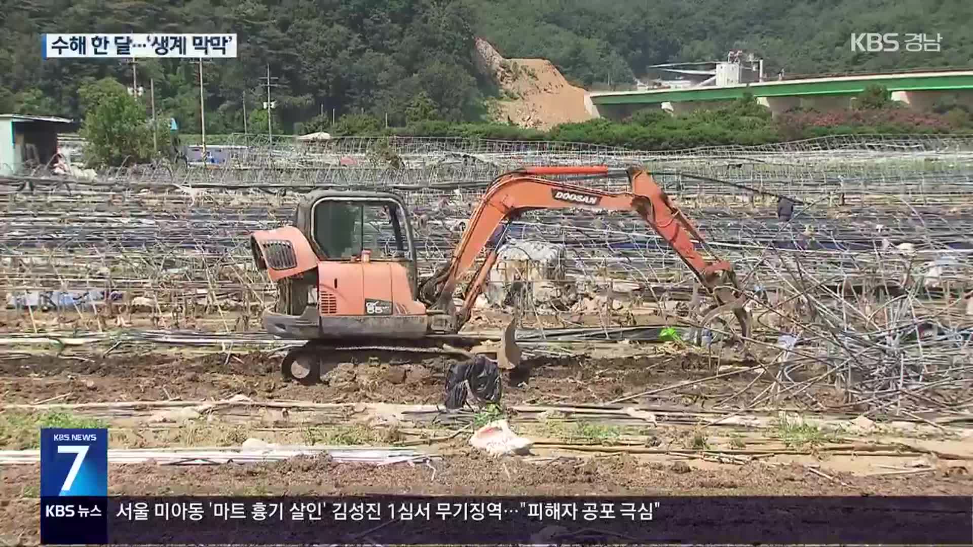 ‘수해 한 달’…일상 무너진 농민들