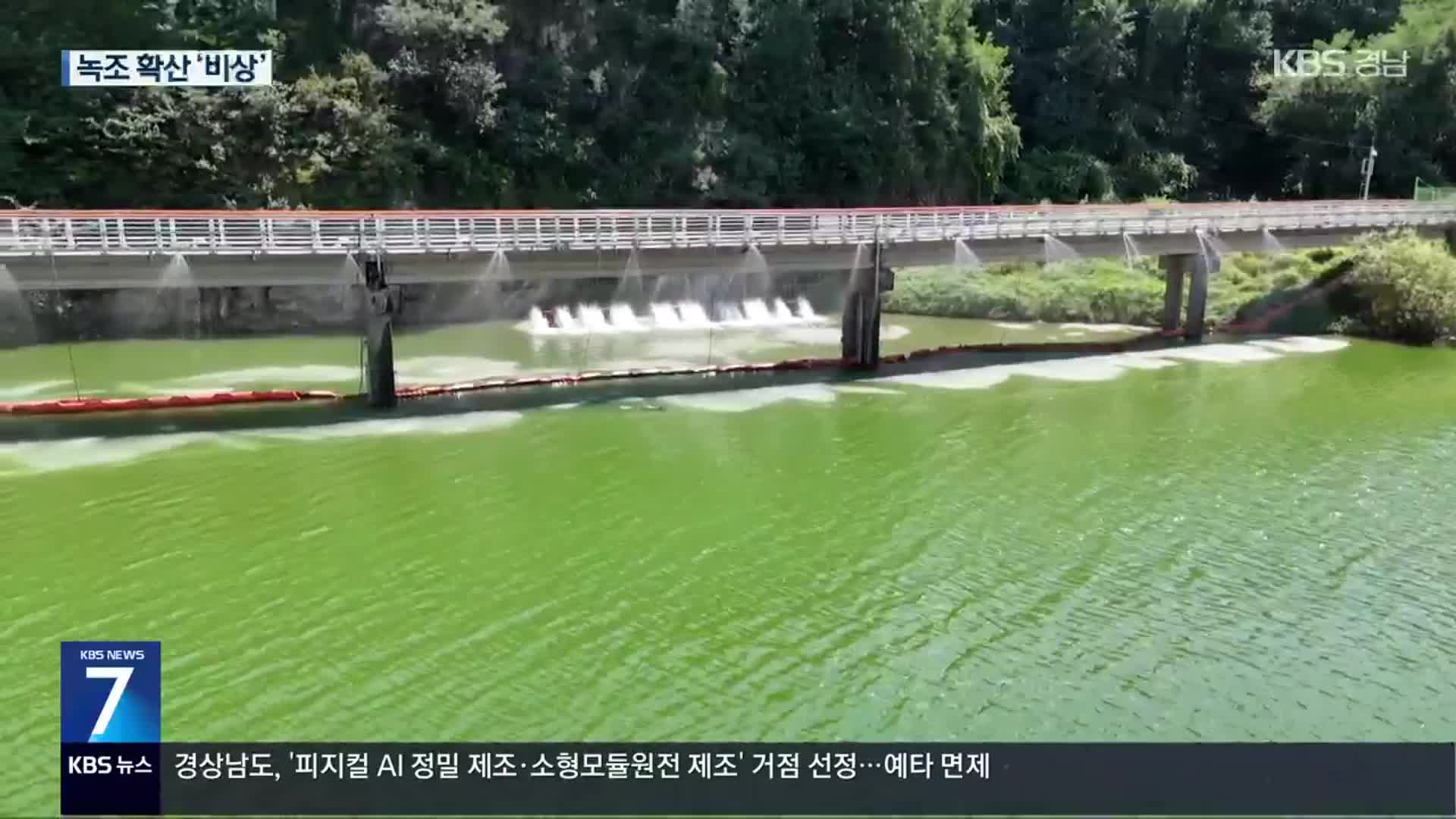 낙동강 녹조 심각…“재자연화 서둘러야”
