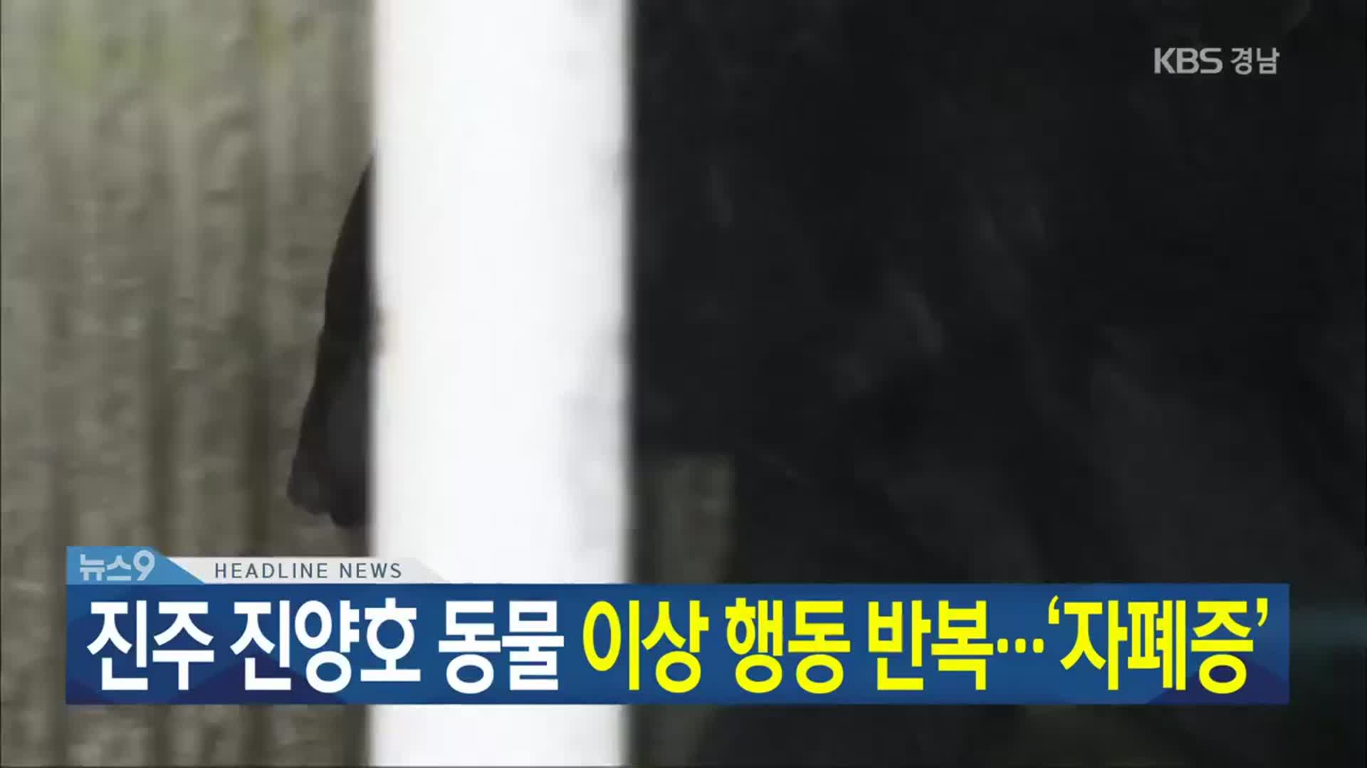 [뉴스9 경남 헤드라인]