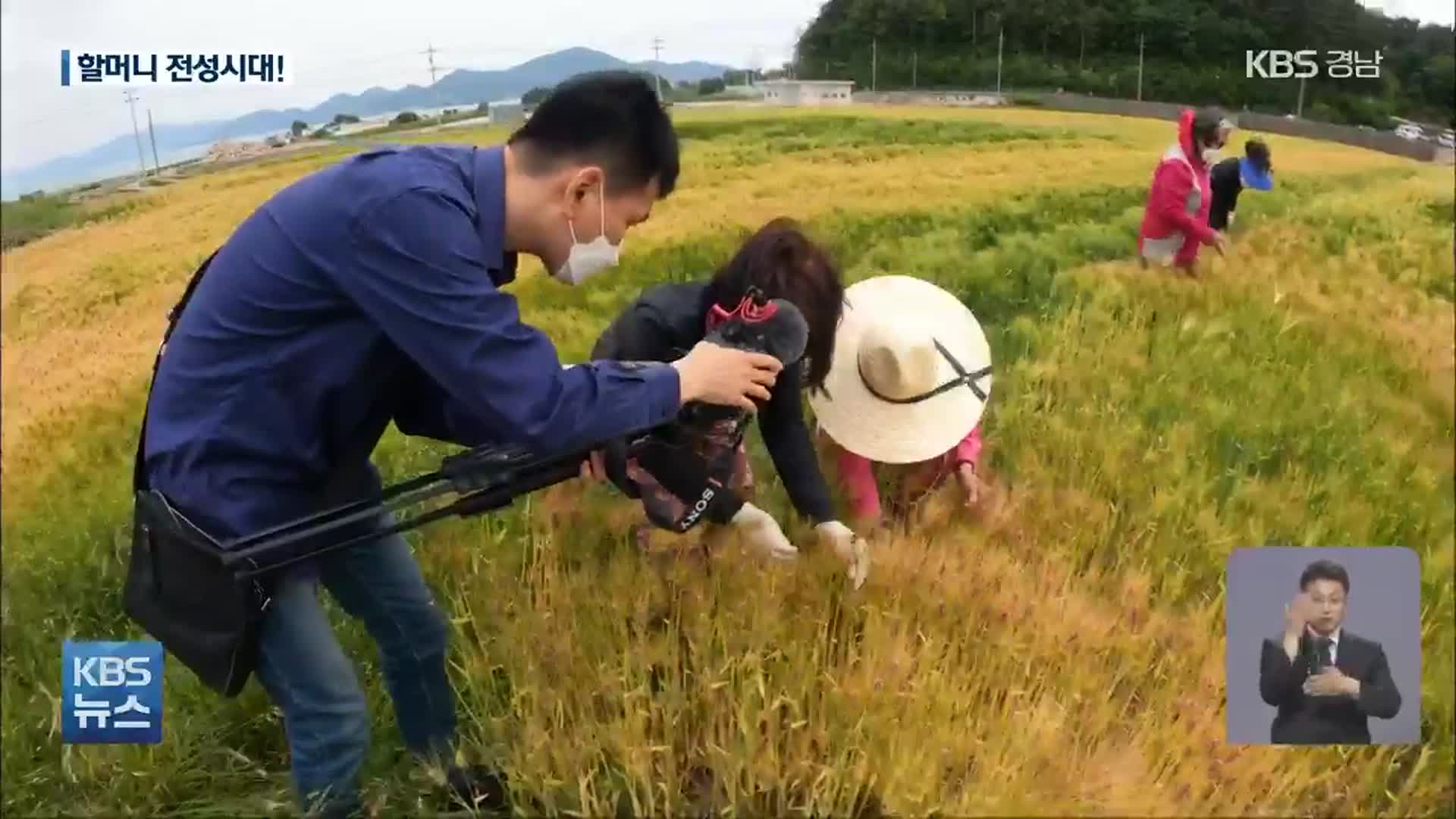 동영상으로 소통하는 ‘할머니 전성시대’