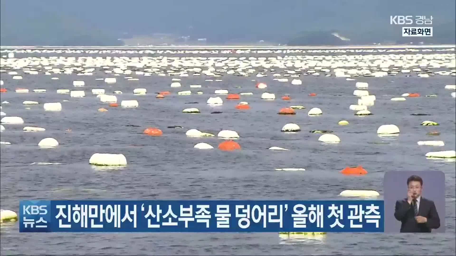 진해만에서 ‘산소부족 물 덩어리’ 올해 첫 관측