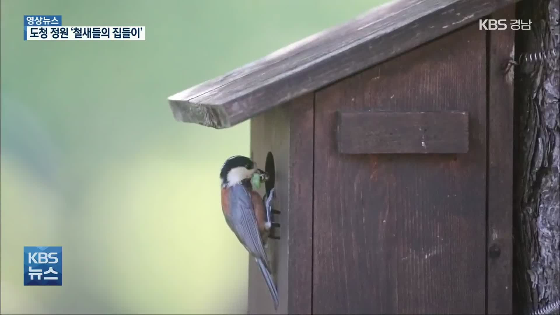 [영상] “새집이 생겼어요!”…‘도청 철새들’의 집들이