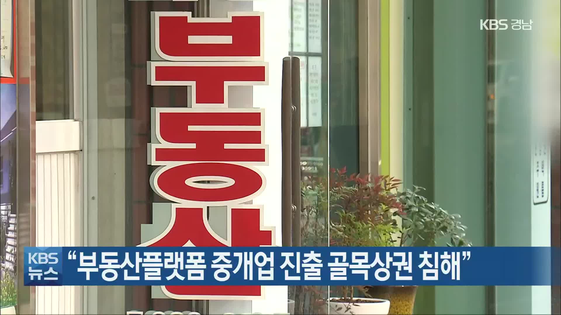 “부동산플랫폼 중개업 진출 골목상권 침해”