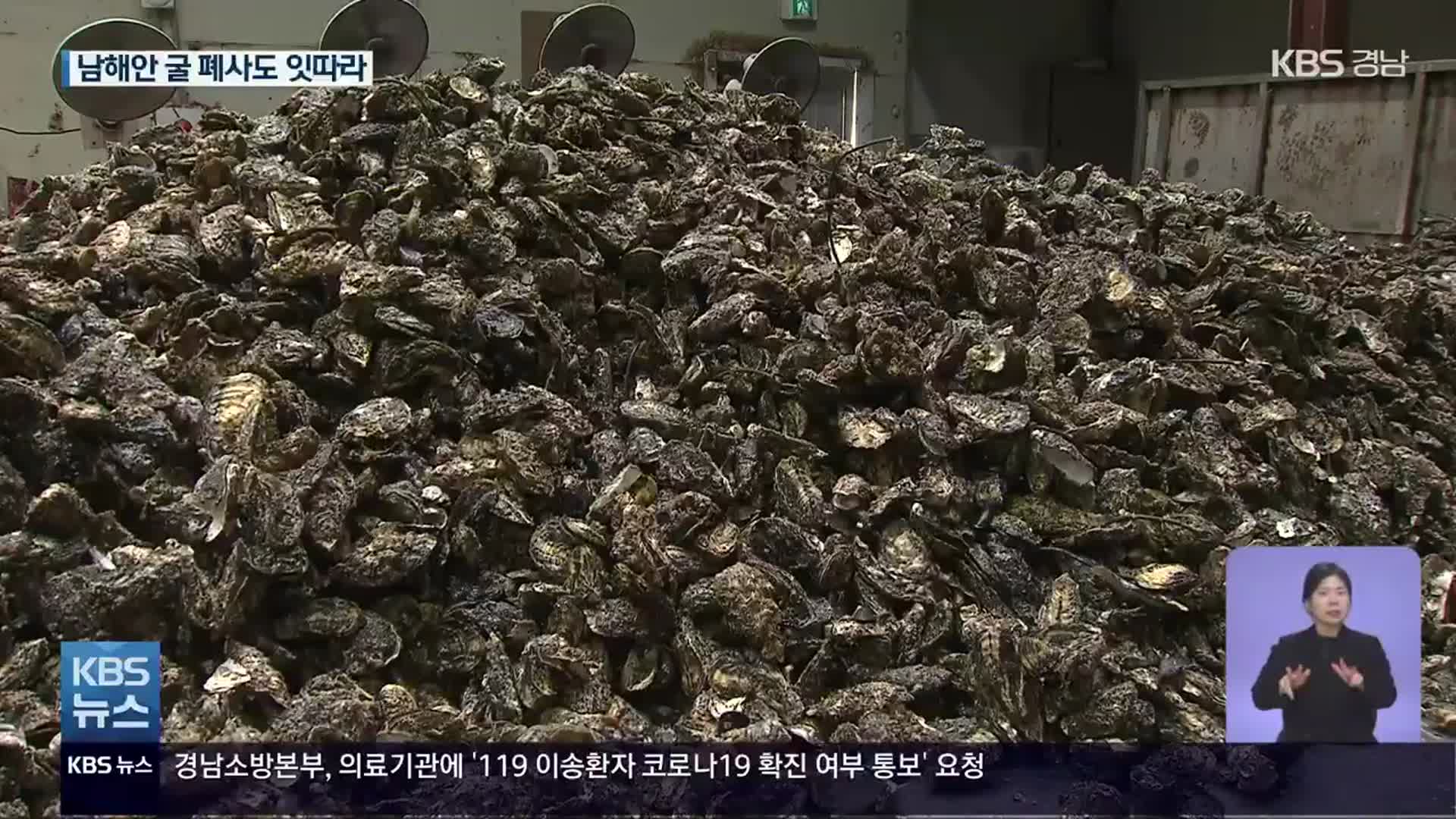 겨울철 남해안 굴 집단폐사 비상…“원인 조사 중”