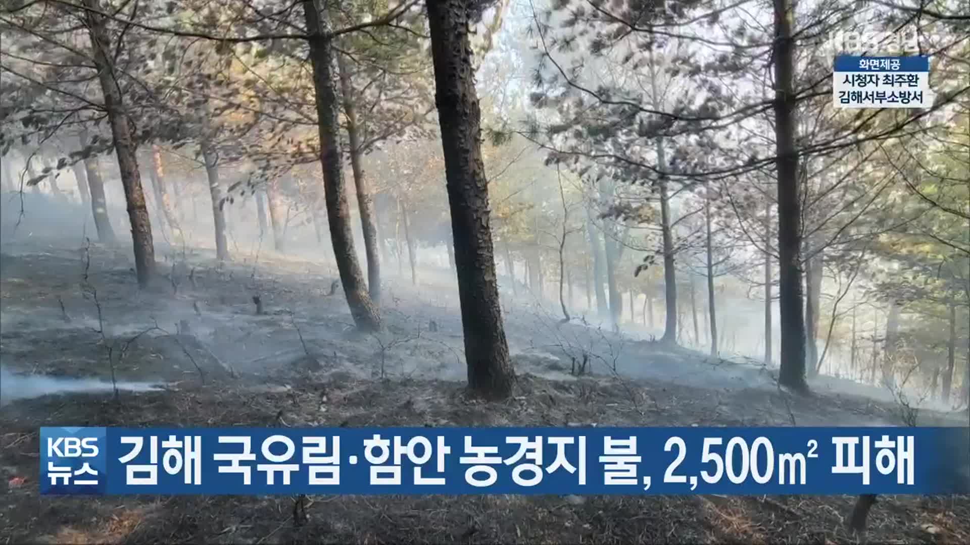 김해 국유림·함안 농경지 불, 2,500㎡ 피해