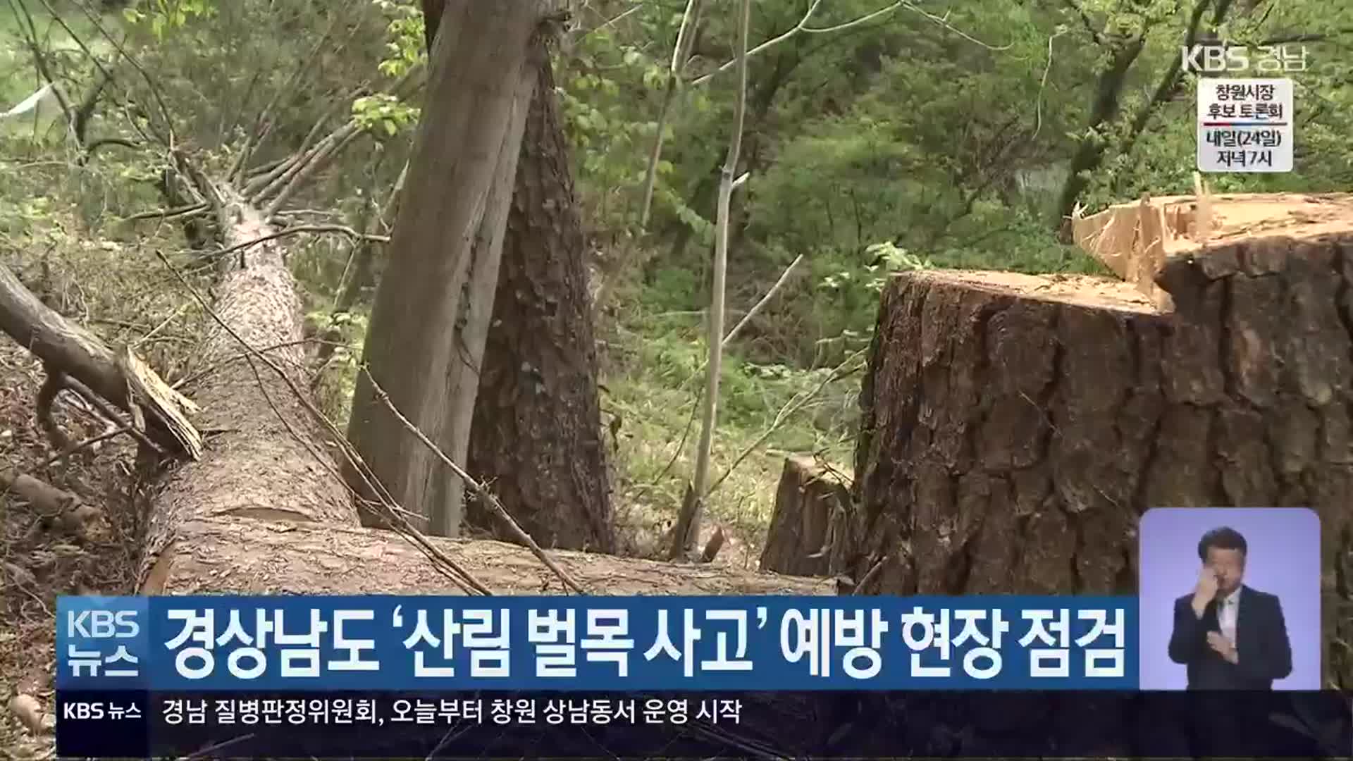 경상남도 ‘산림 벌목 사고’ 예방 현장 점검
