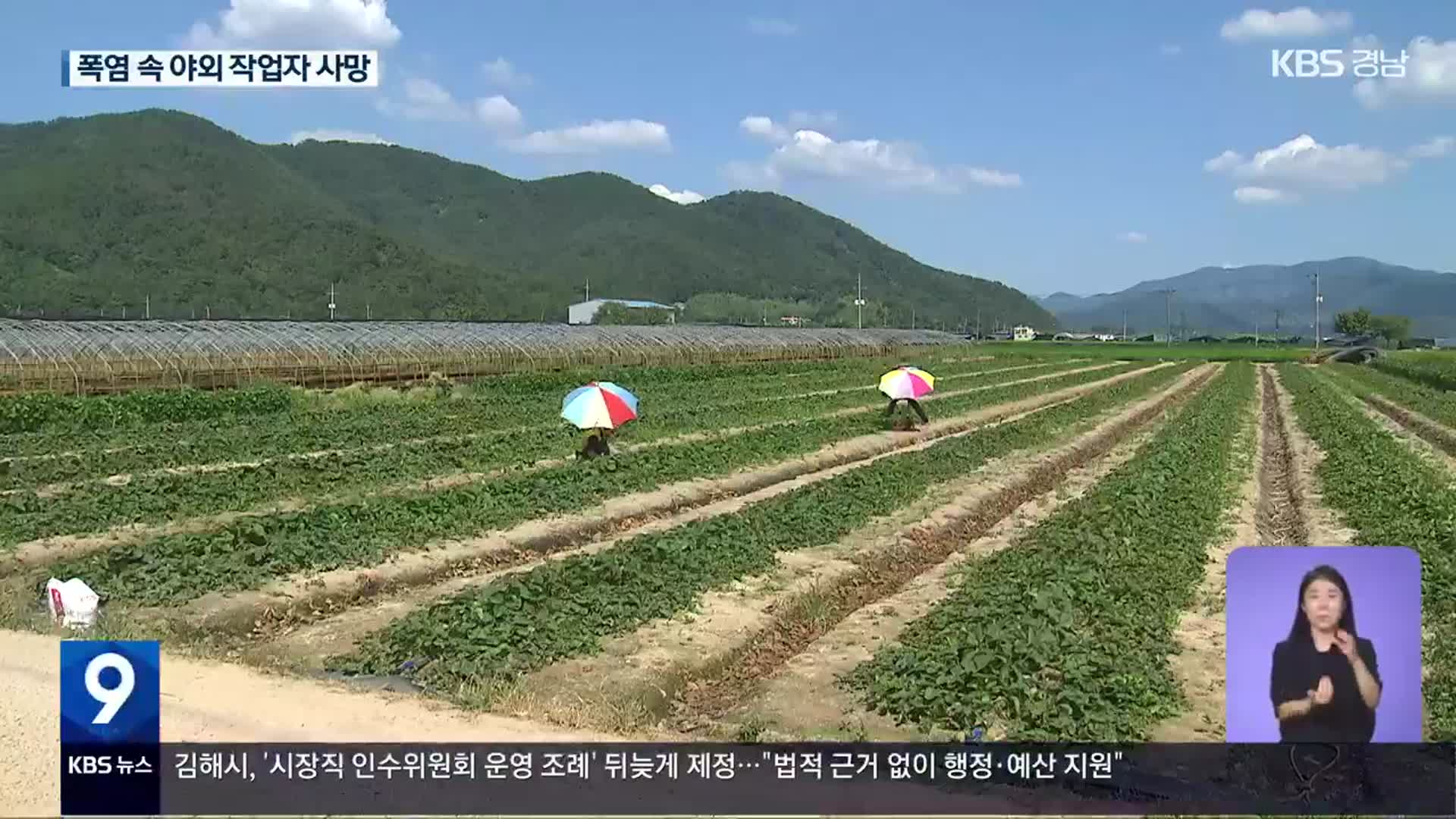 폭염 속 야외 작업자 잇단 사망…논밭 ‘온열질환 주의보’