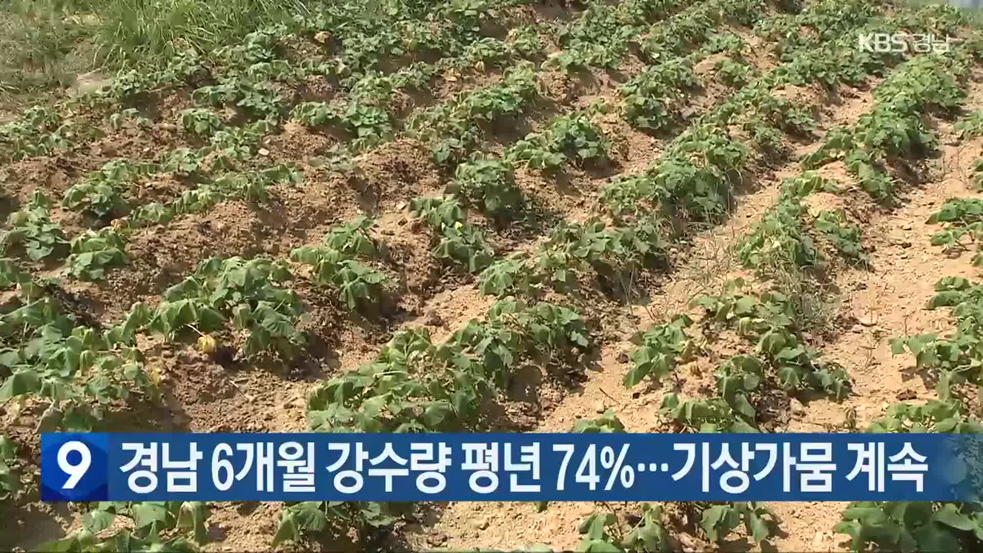 경남 6개월 강수량 평년 74%…기상가뭄 계속