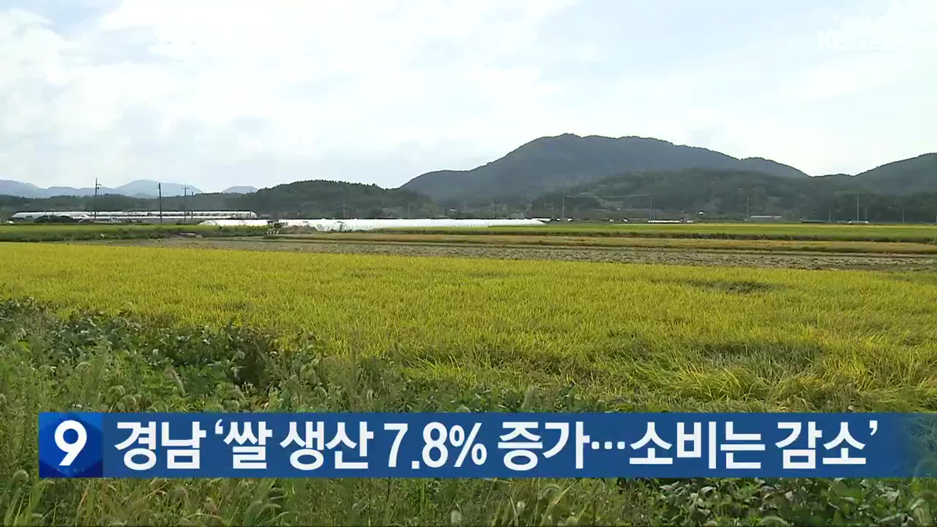 “경남 쌀 생산 7.8% 증가…소비는 감소”