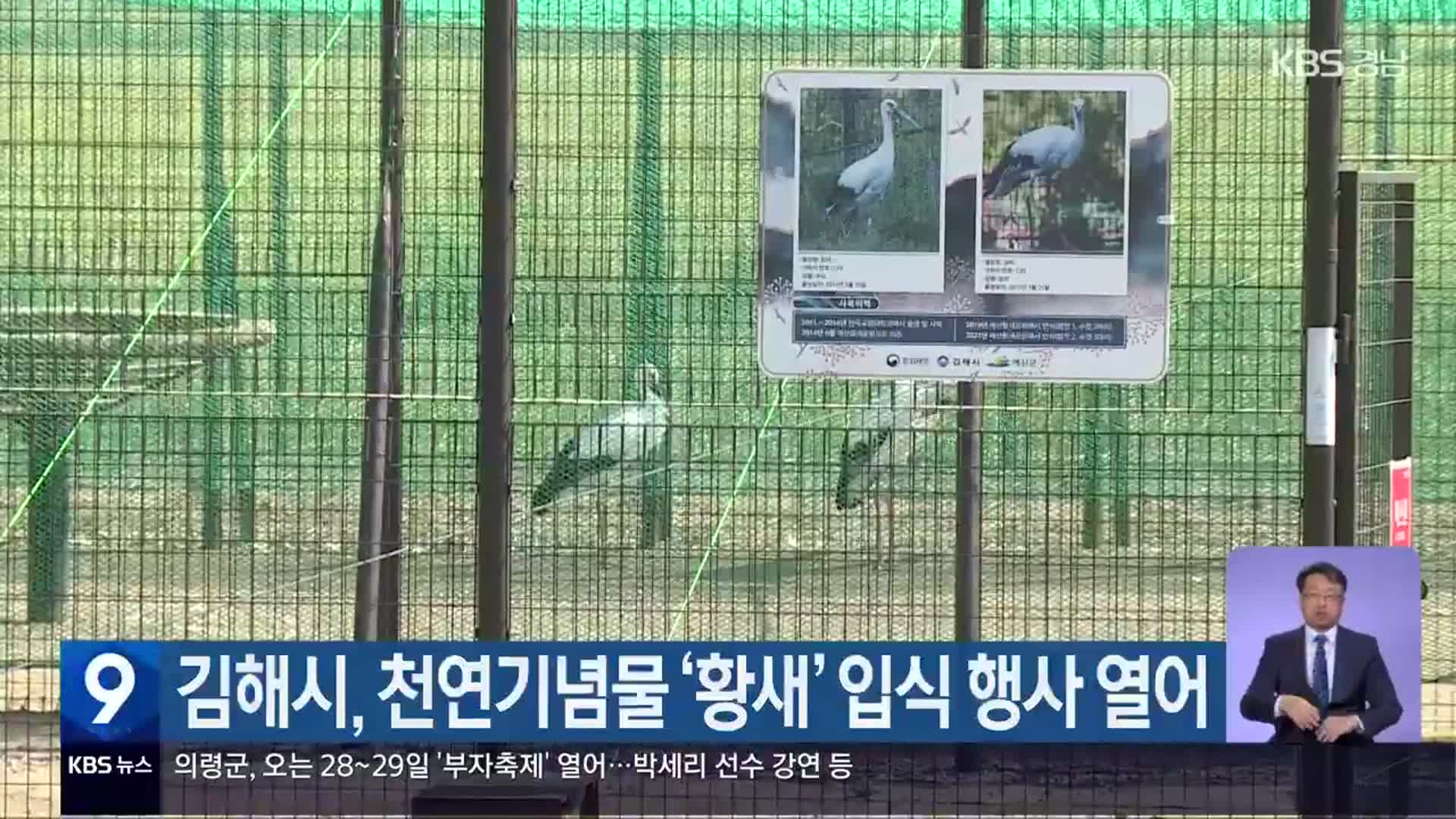 김해시, 천연기념물 ‘황새’ 입식 행사 열어