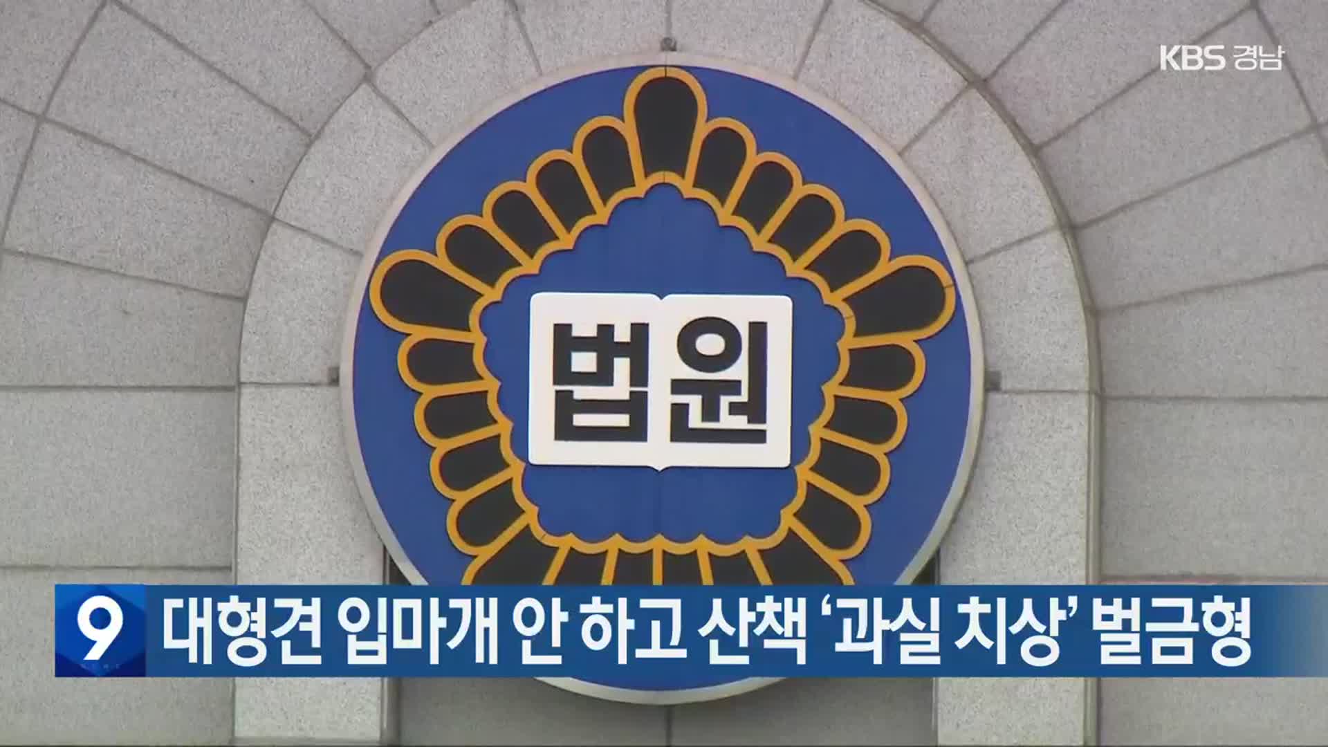 대형견 입마개 안 하고 산책 ‘과실 치상’ 벌금형