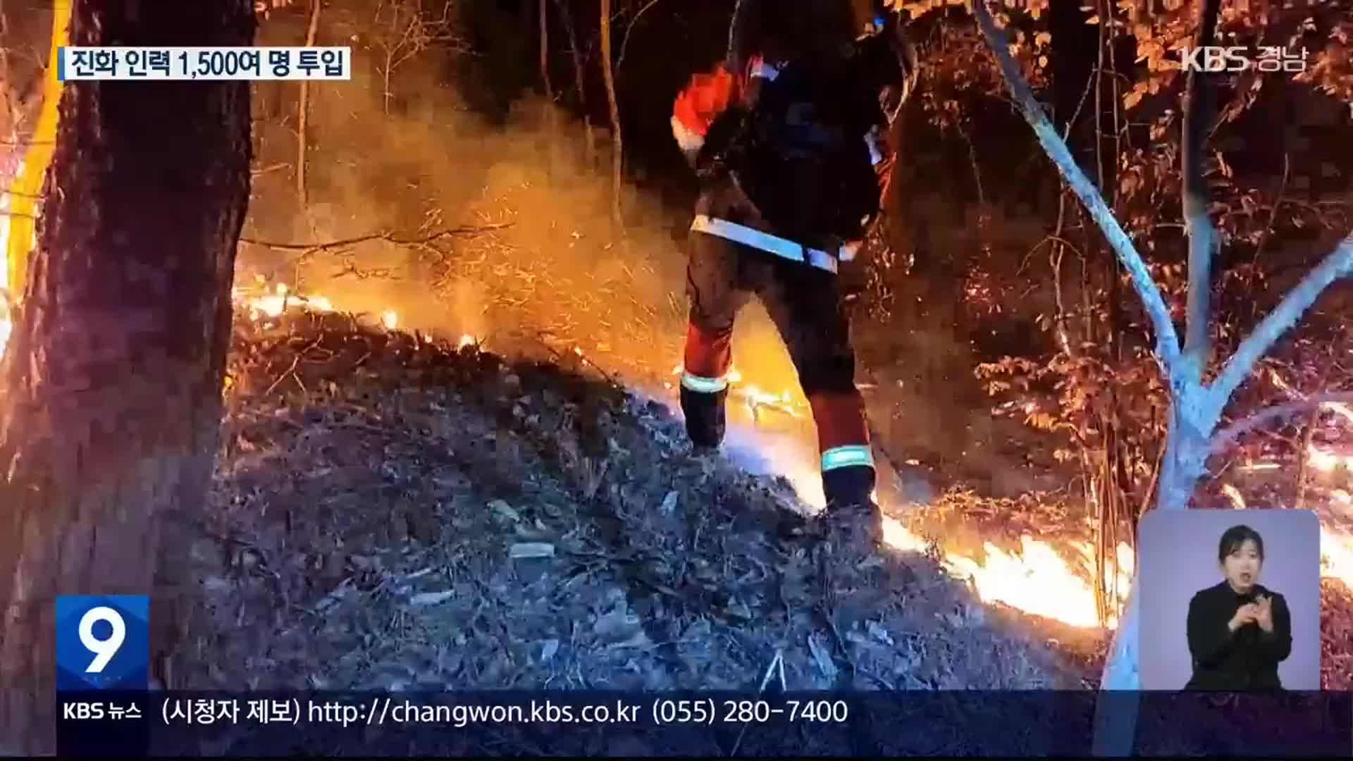 필사의 야간 진화 작업…뜬눈으로 밤새