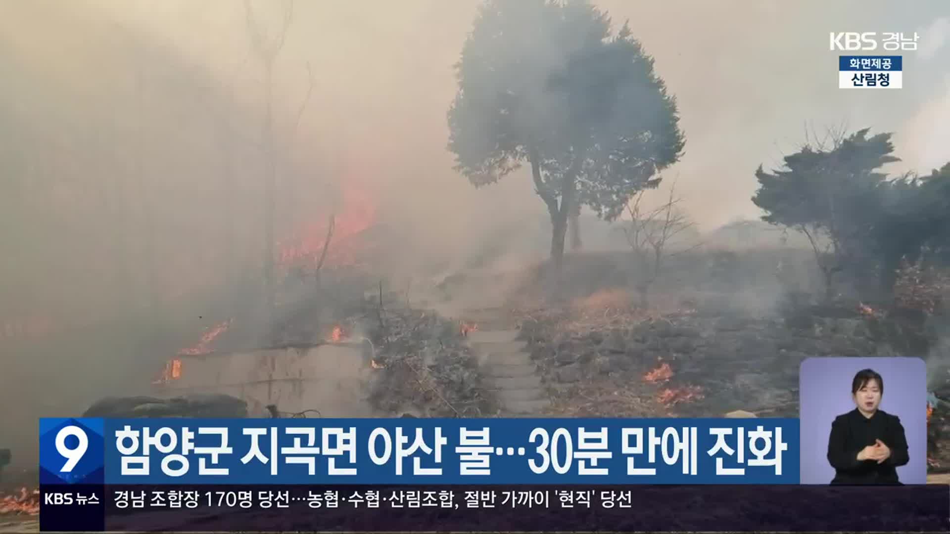 함양군 지곡면 야산 불…30분 만에 진화