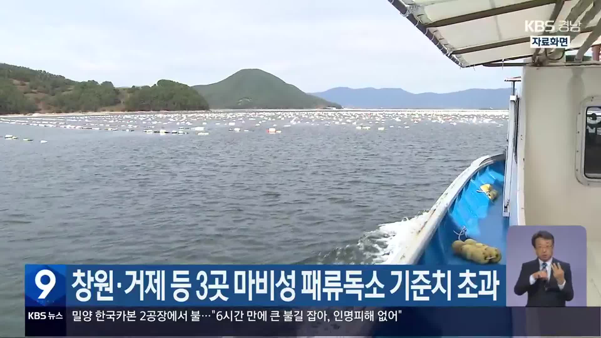 창원·거제 등 3곳 마비성 패류독소 기준치 초과