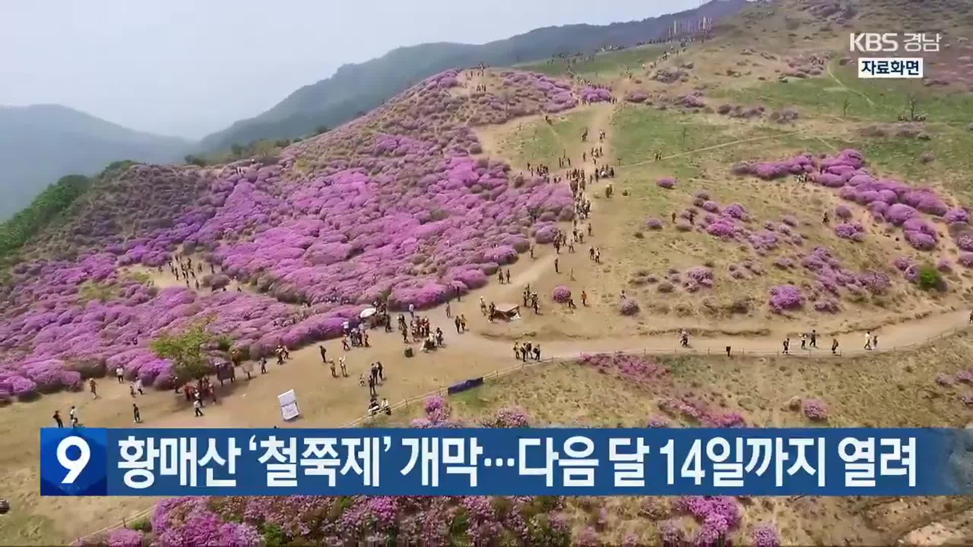 황매산 ‘철쭉제’ 개막…다음 달 14일까지 열려