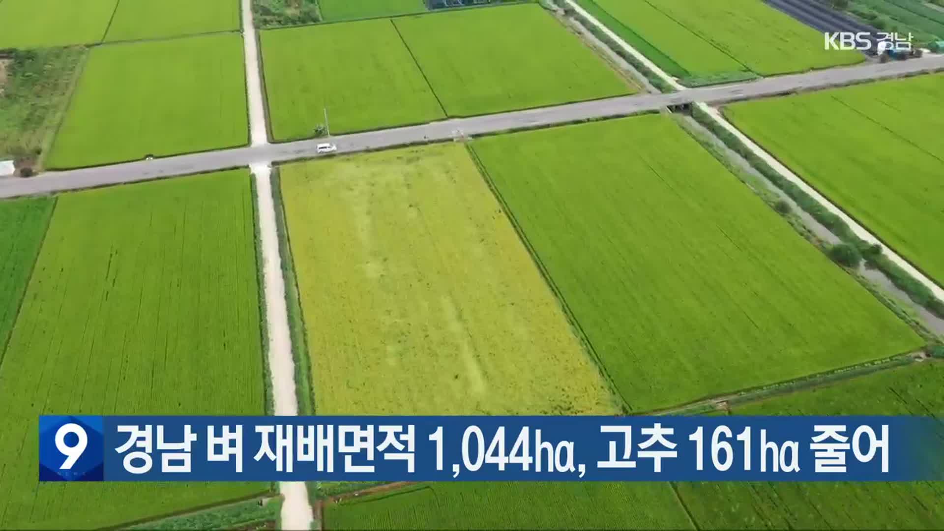 경남 벼 재배면적 1,044ha·고추 161ha 줄어