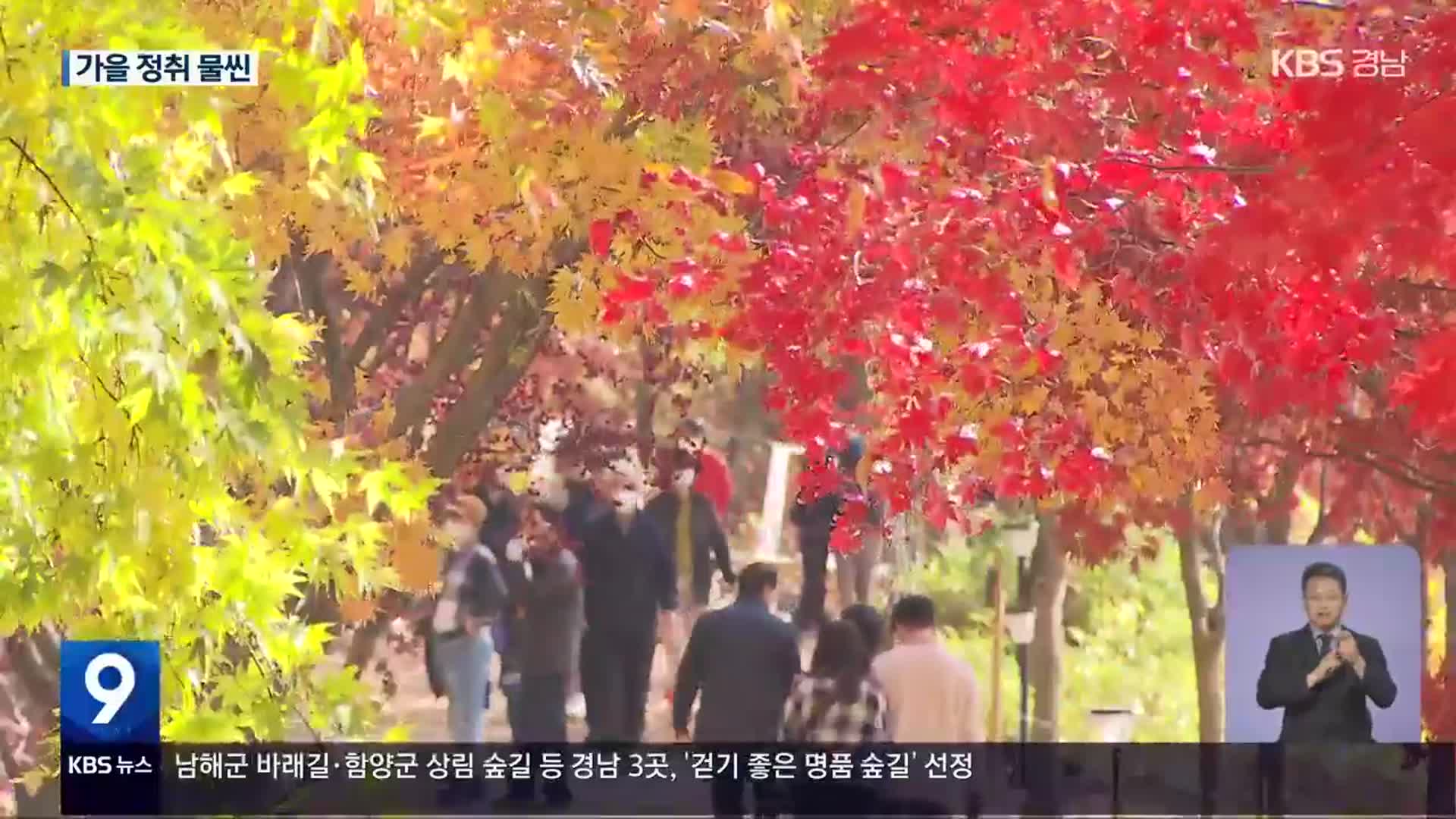 형형색색 가을이 손짓…가을 정취 물씬