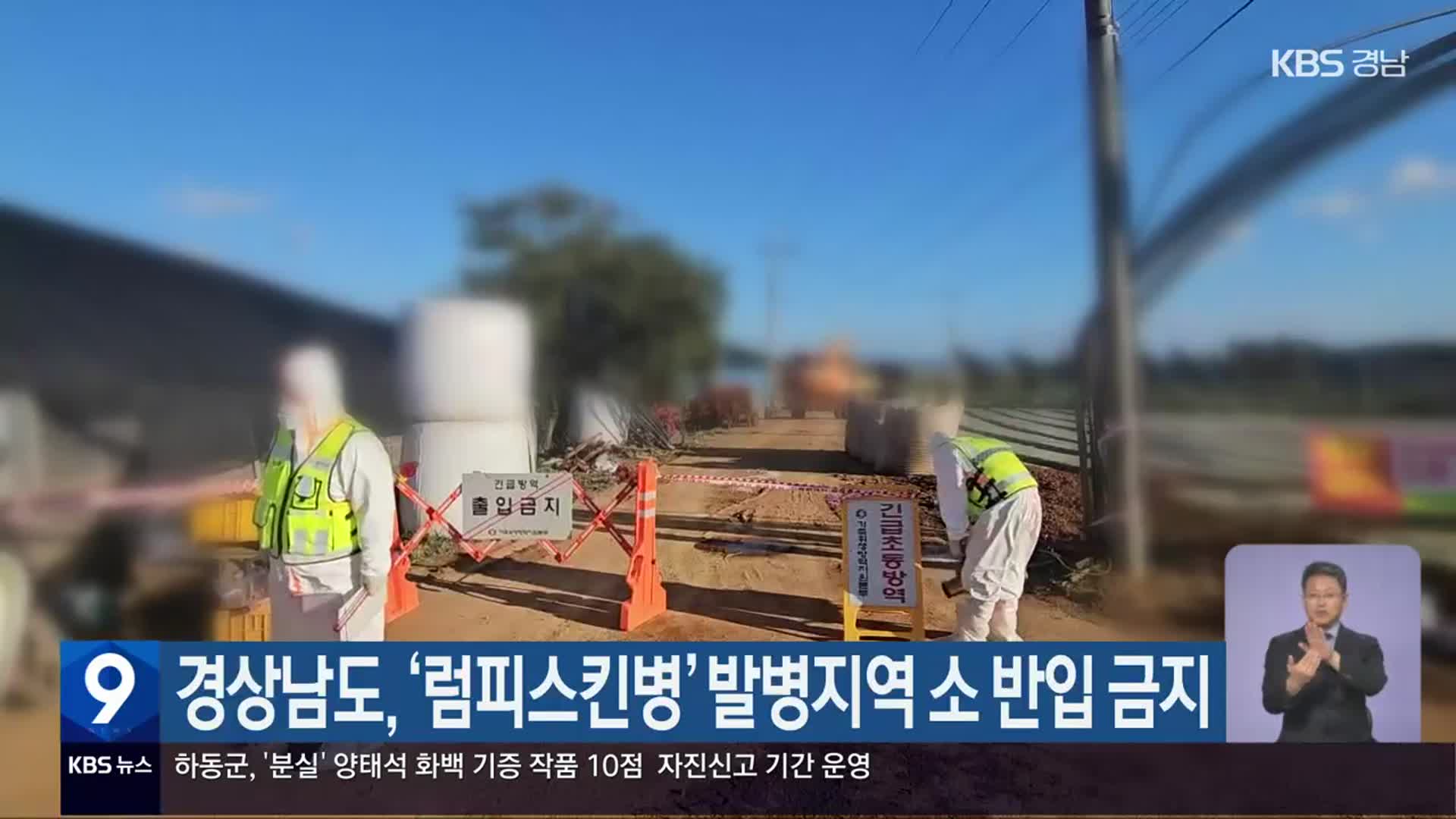 경상남도, ‘럼피스킨병’ 발병지역 소 반입 금지