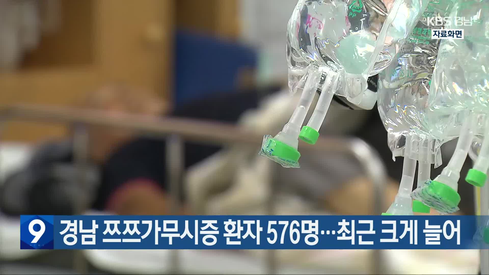 경남 쯔쯔가무시증 환자 576명…최근 크게 늘어